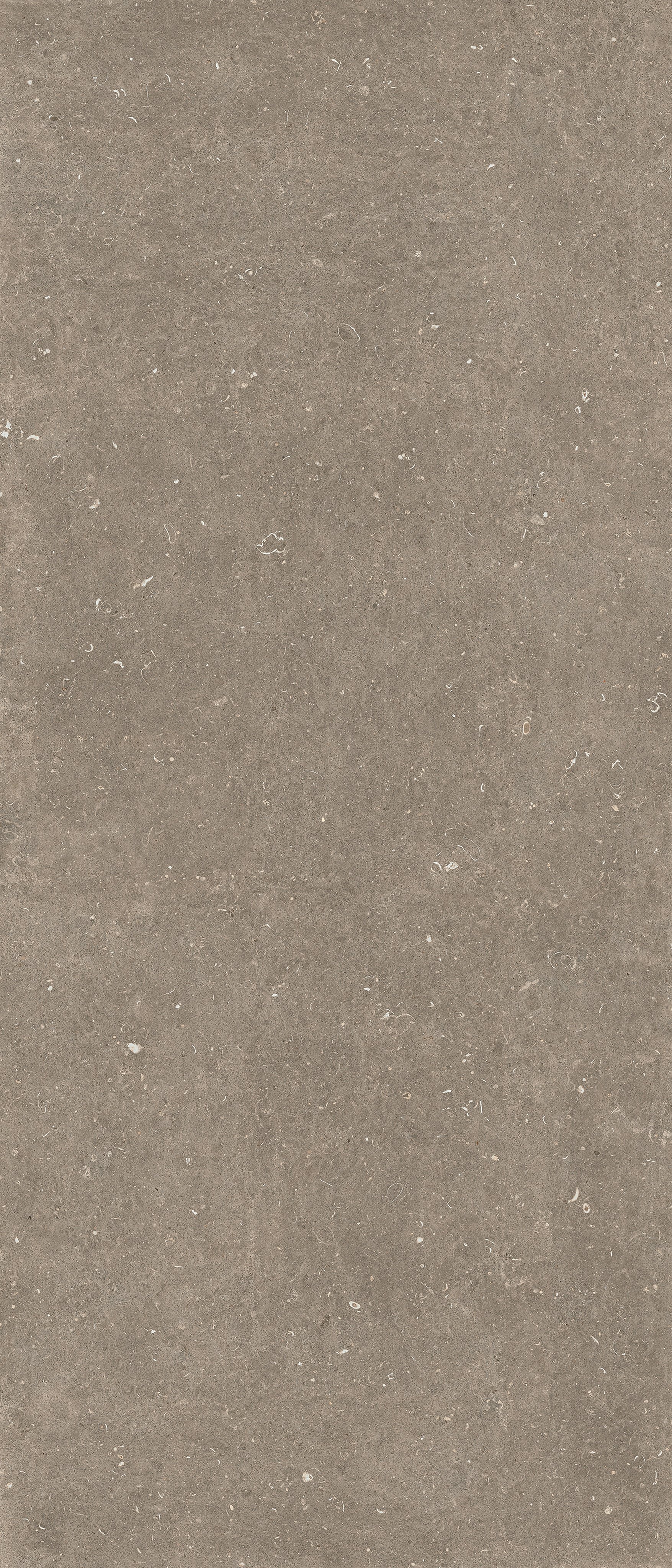 Arena Pietra 120x120