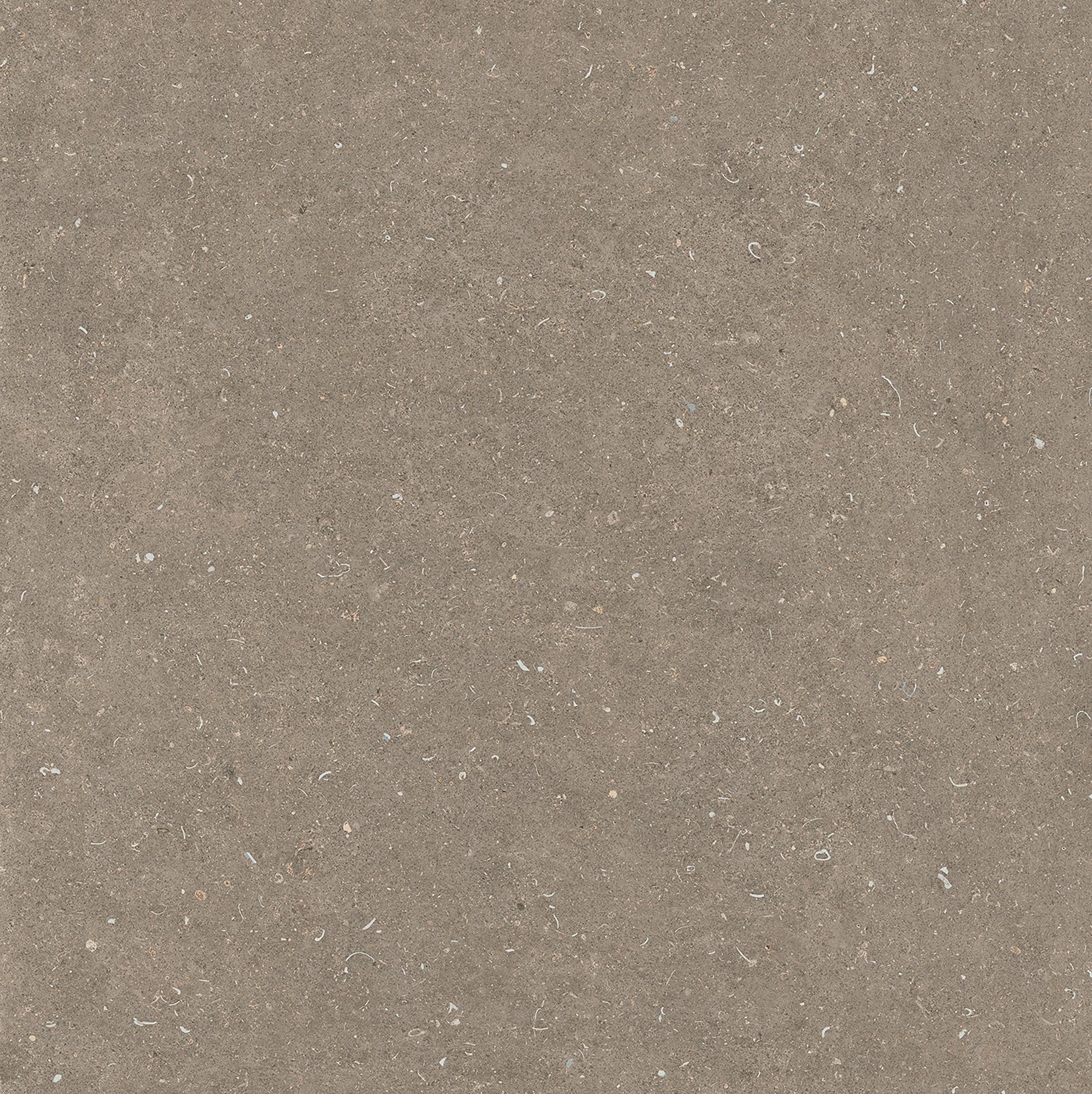 Arena Pietra 120x120