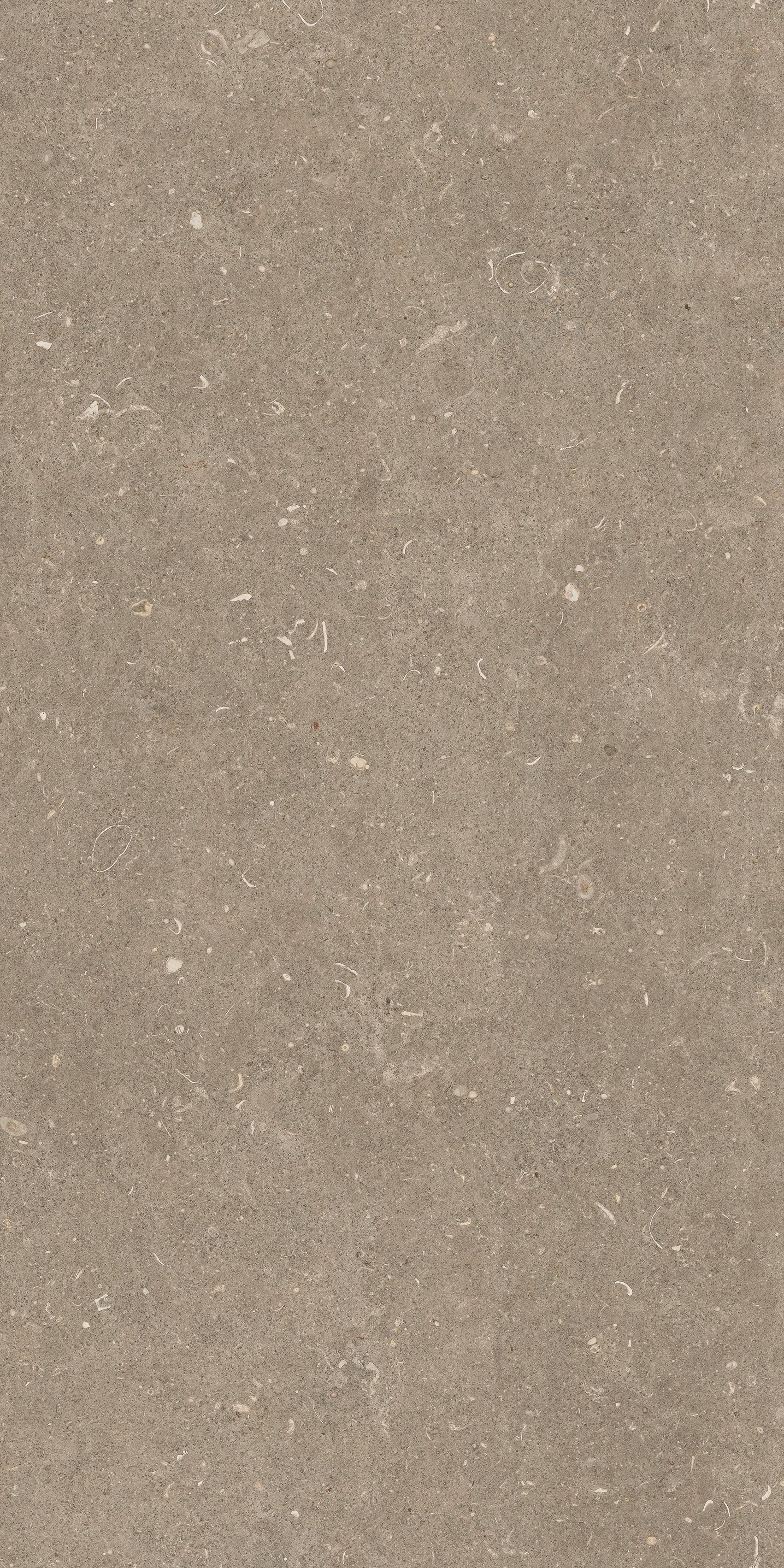 Arena Pietra 60x120