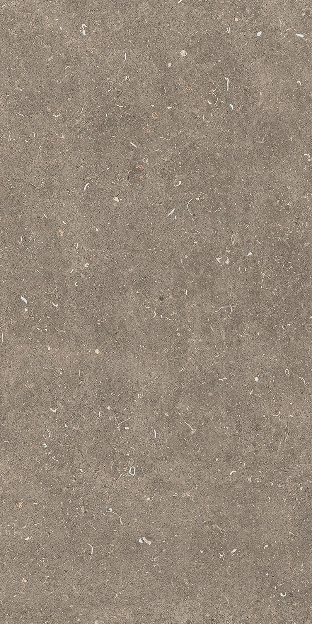 Arena Pietra 60x120