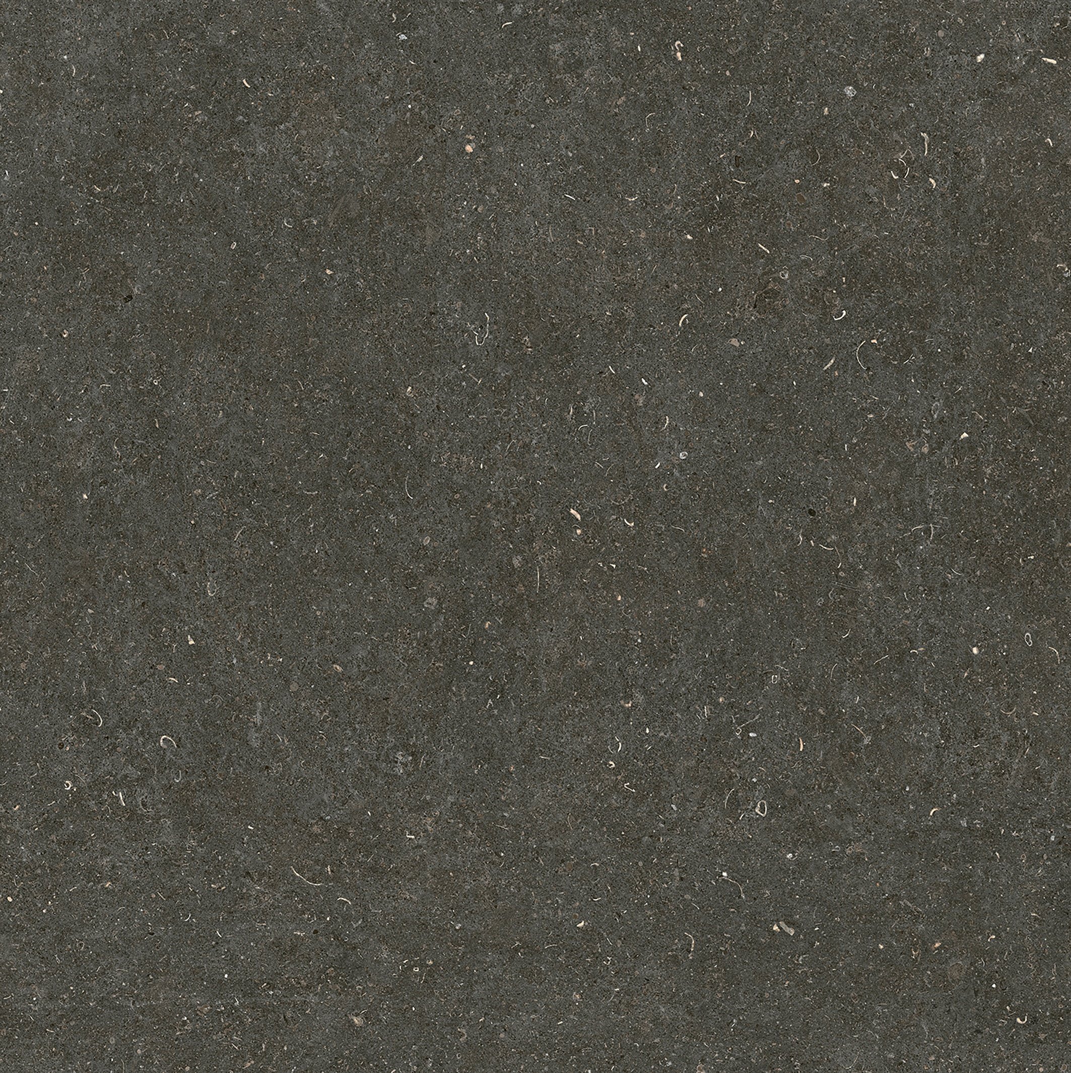 Arena Platino 120x120