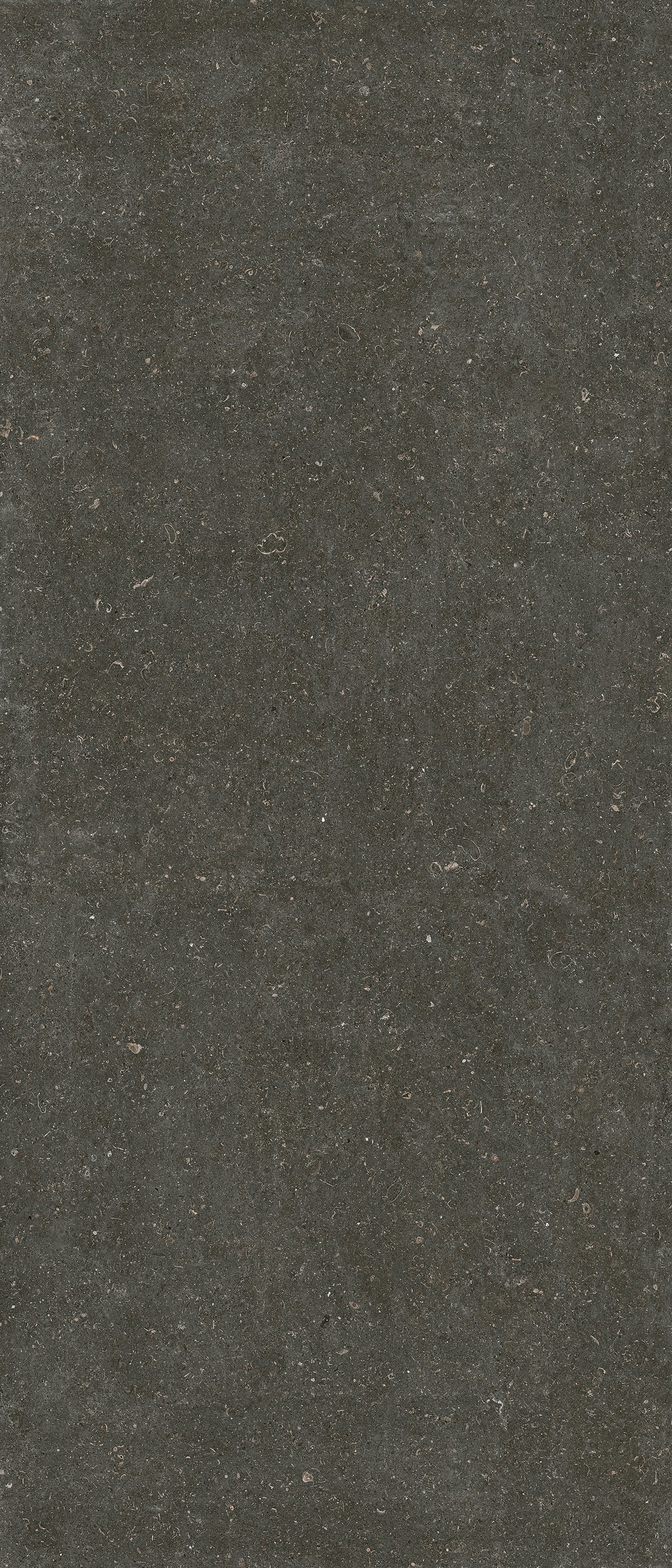 Arena Platino 120x120