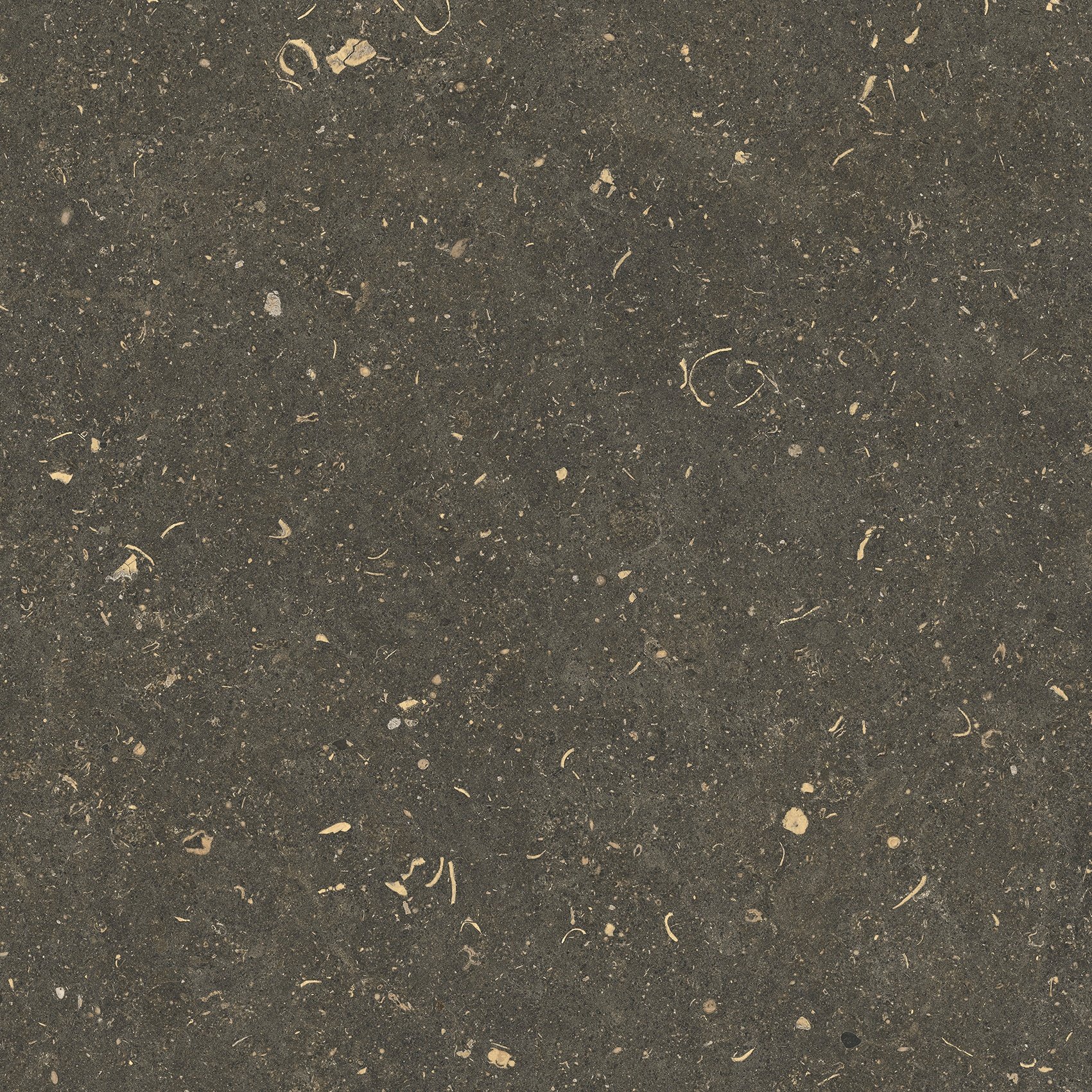 Arena Platino 60x60