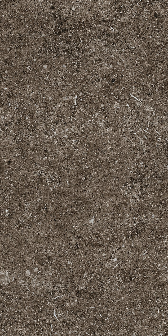 Brown Fossil 40x80
