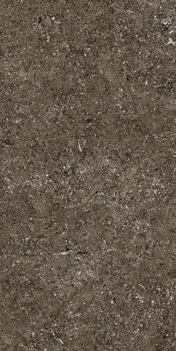 Brown Fossil 40x80