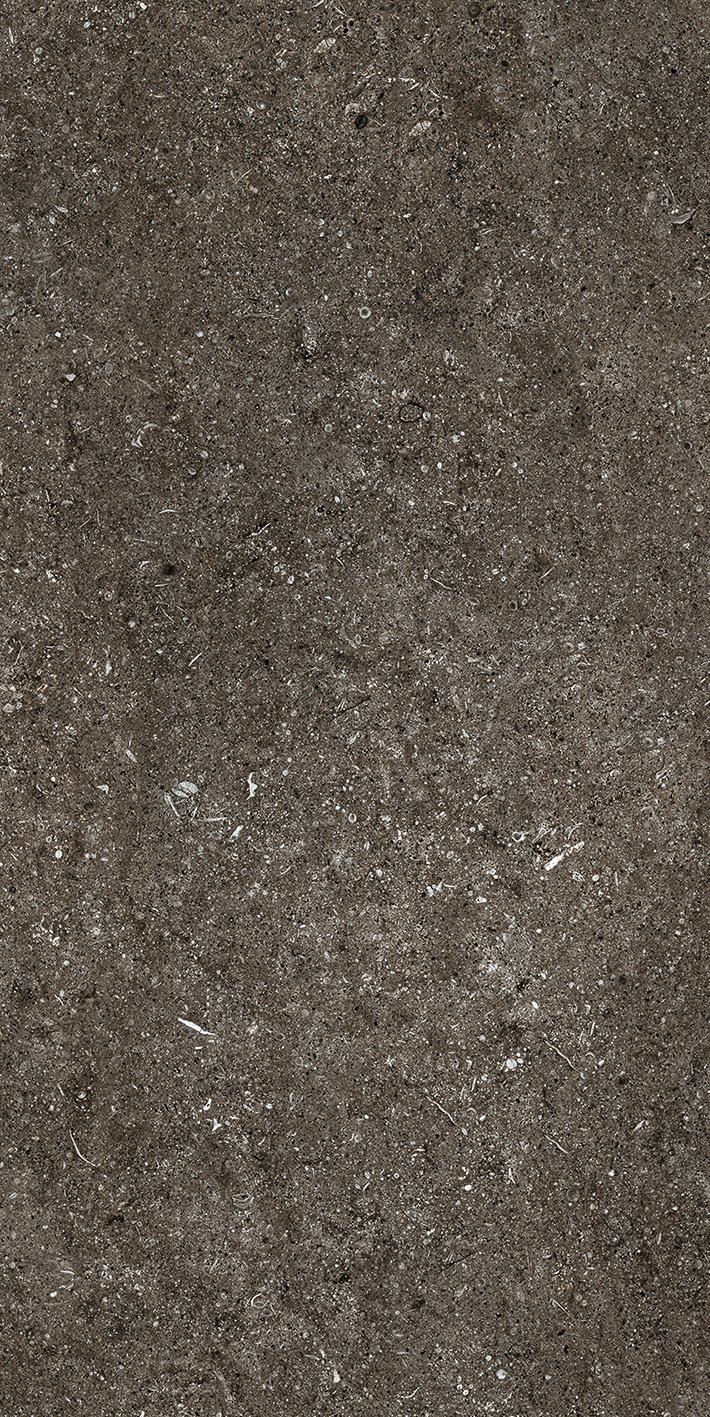 Brown Fossil 60x120