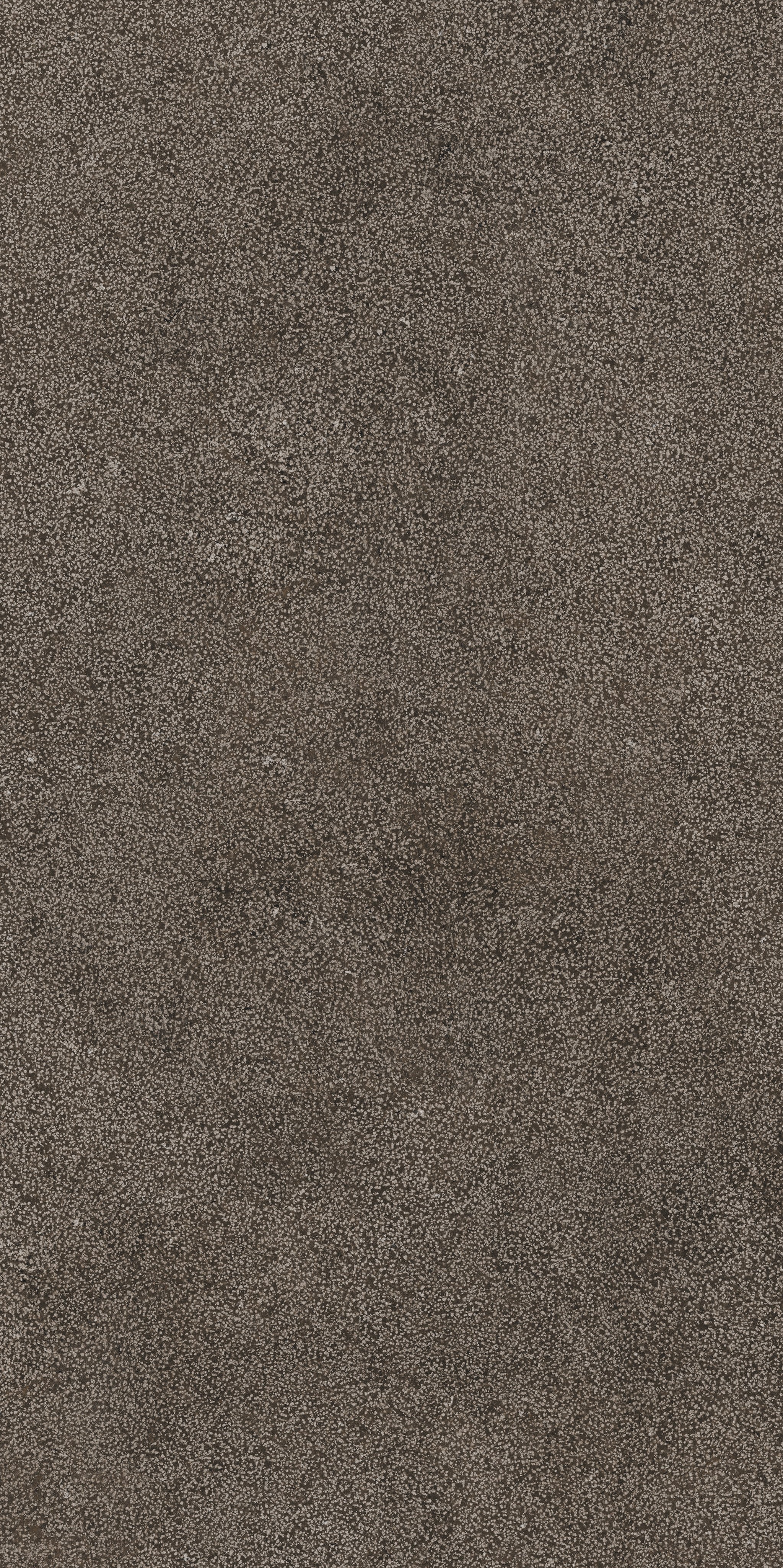 Brown Lithos 60x120