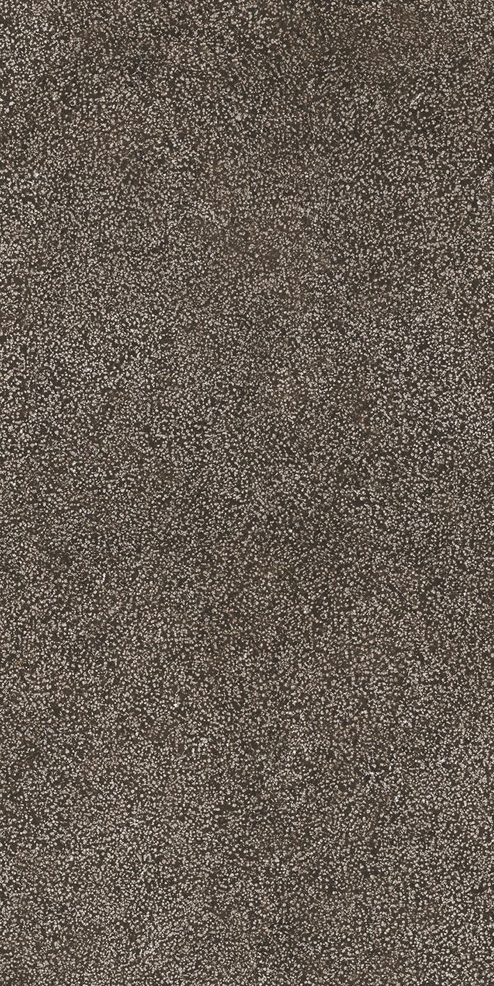 Brown Lithos 60x120