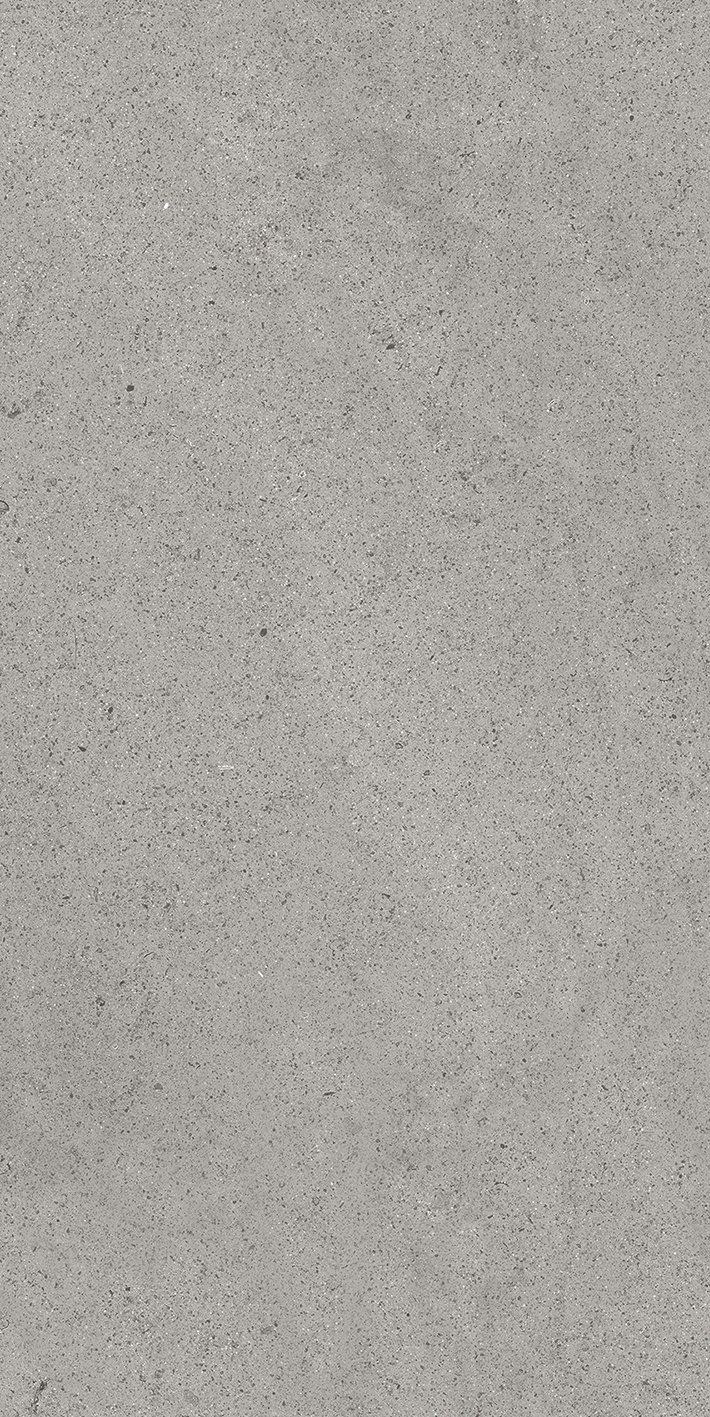 Grey Dust 60x120