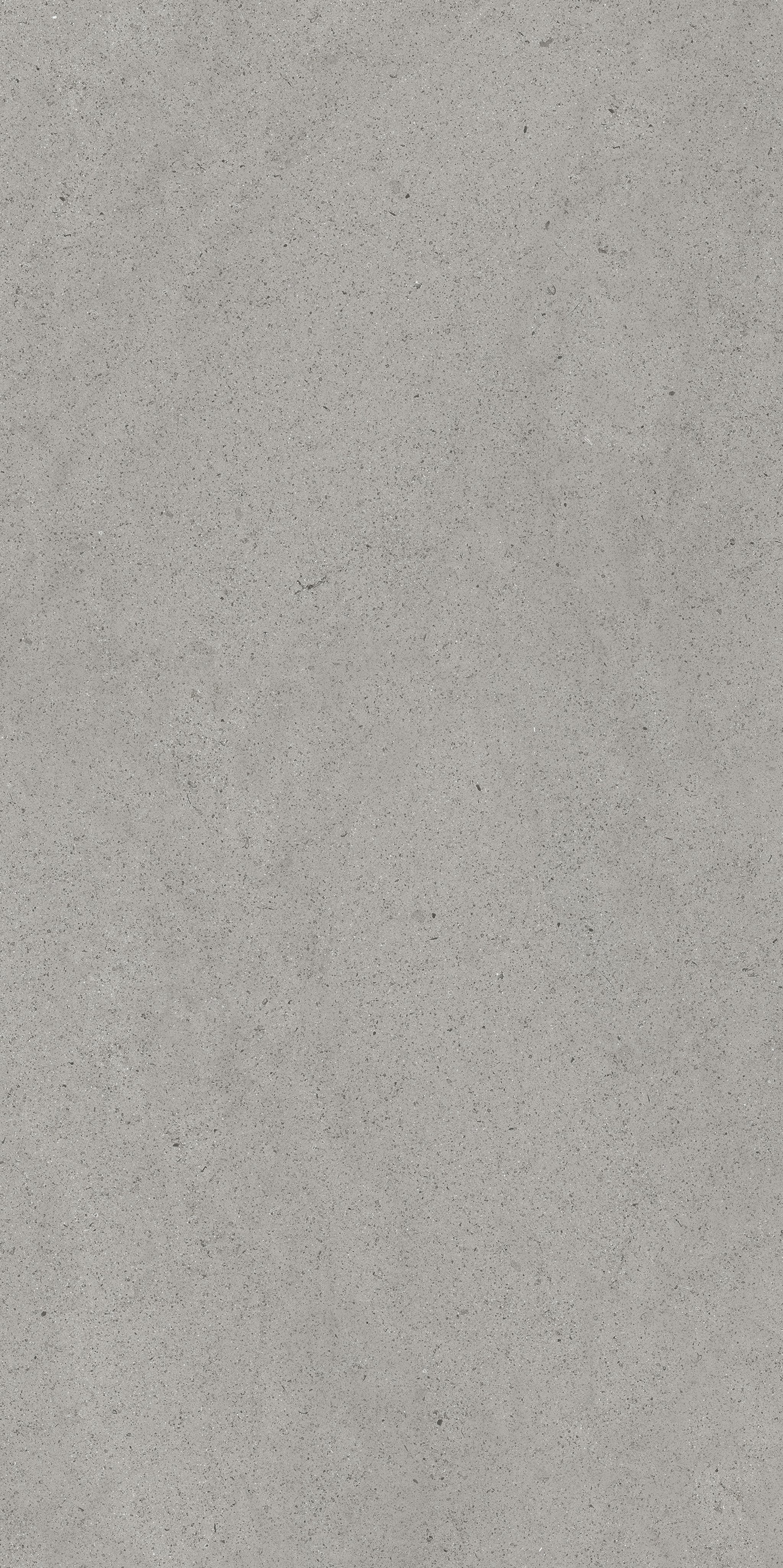 Grey Dust 60x120