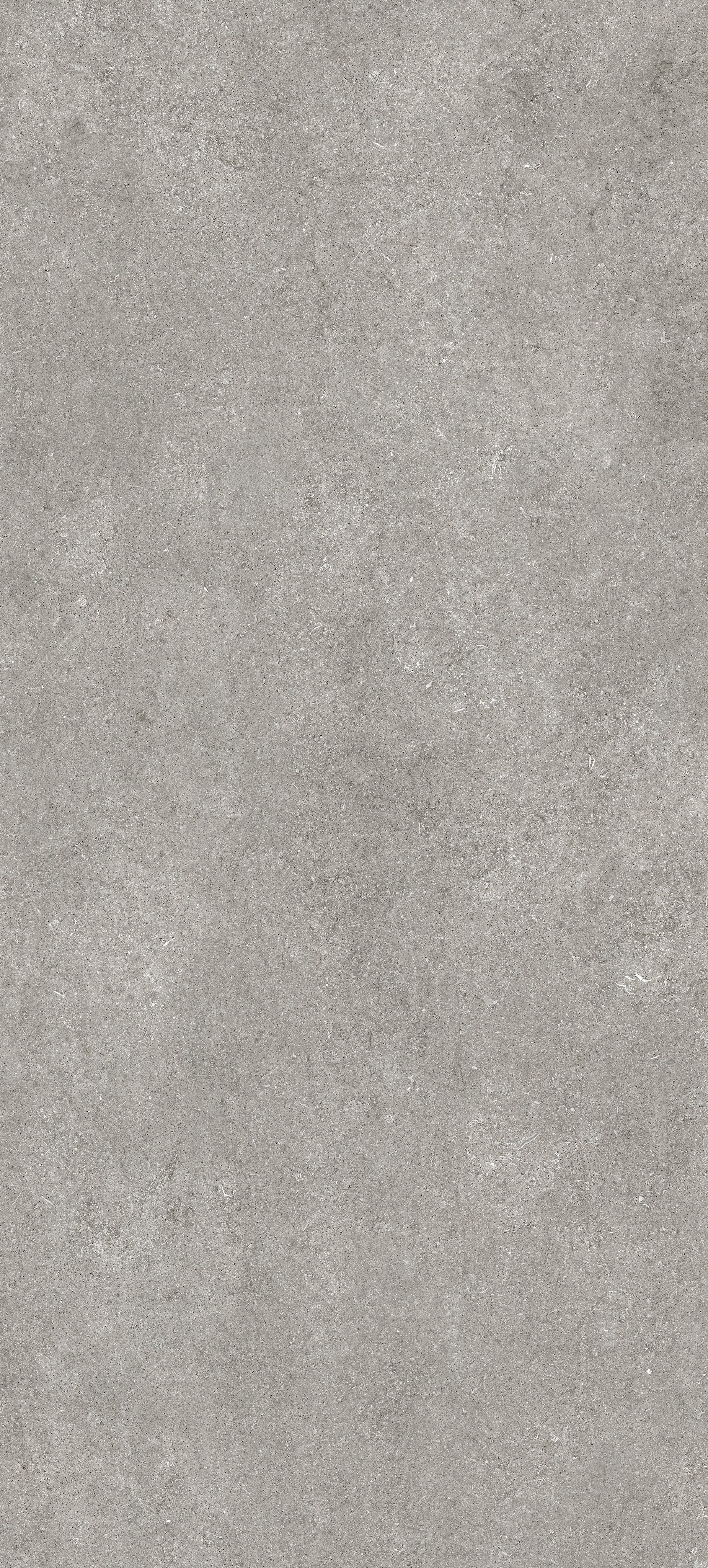 Grey Fossil 120x280