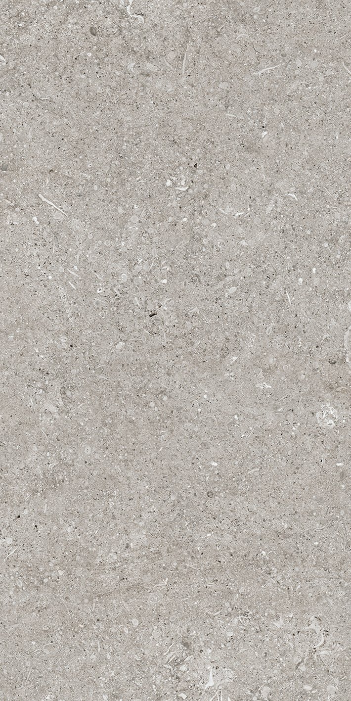 Grey Fossil 40x80