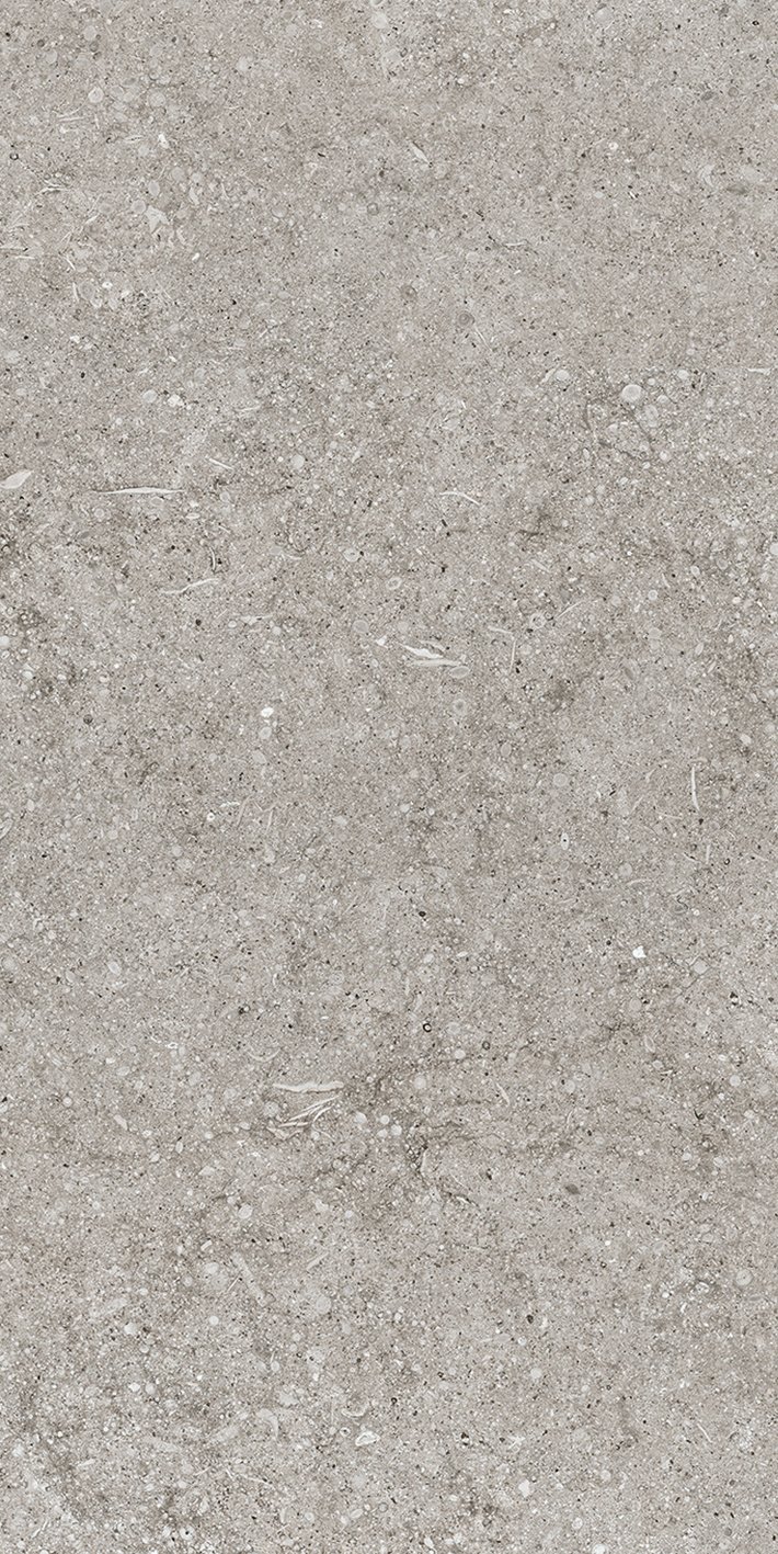 Grey Fossil 40x80