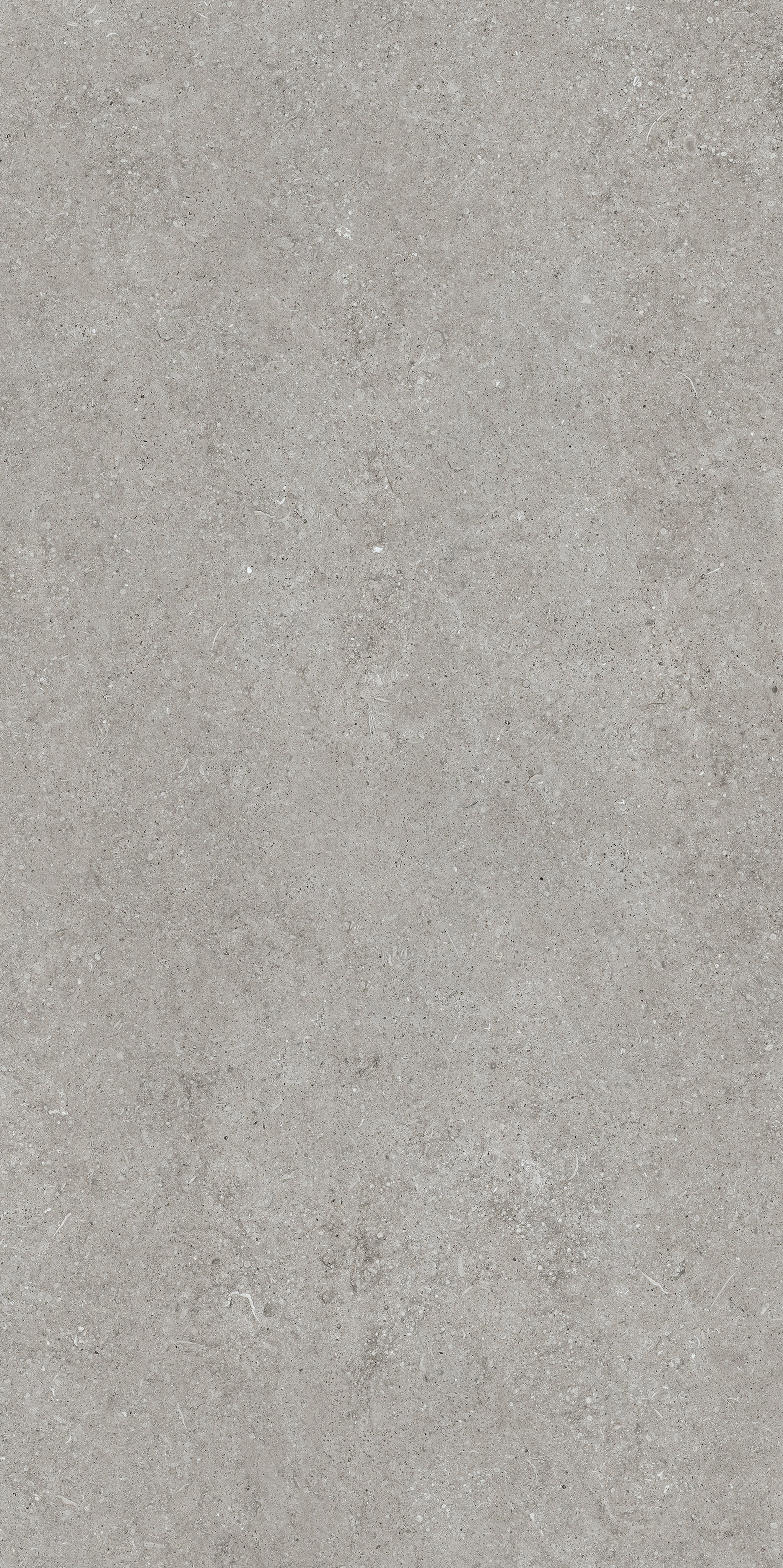 Grey Fossil 60x120