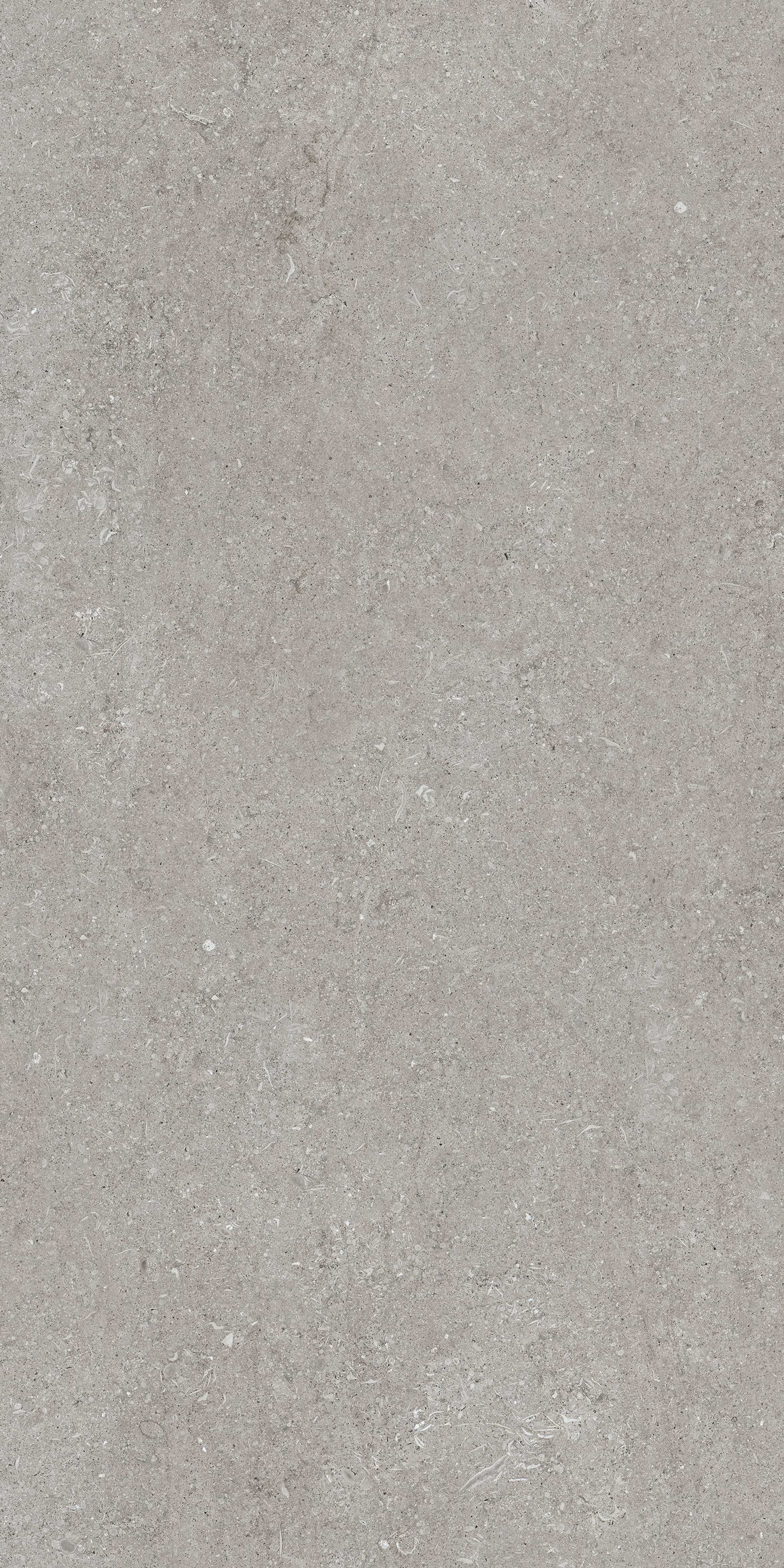 Grey Fossil 60x120
