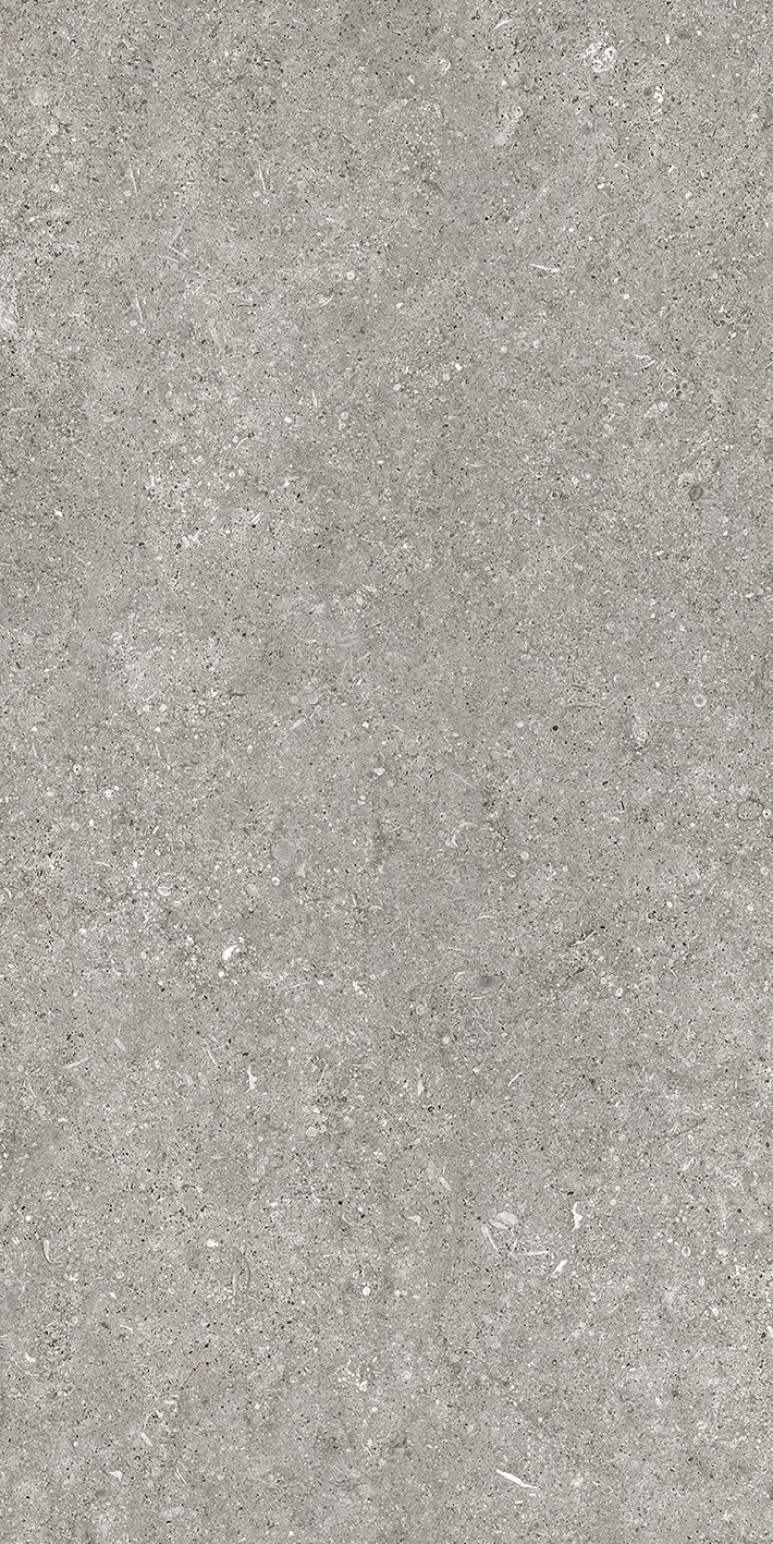 Grey Fossil 60x120