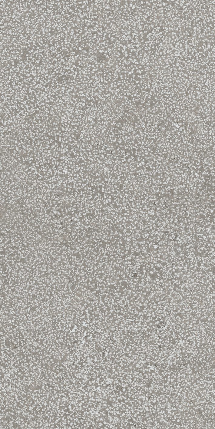 Grey Lithos 40x80