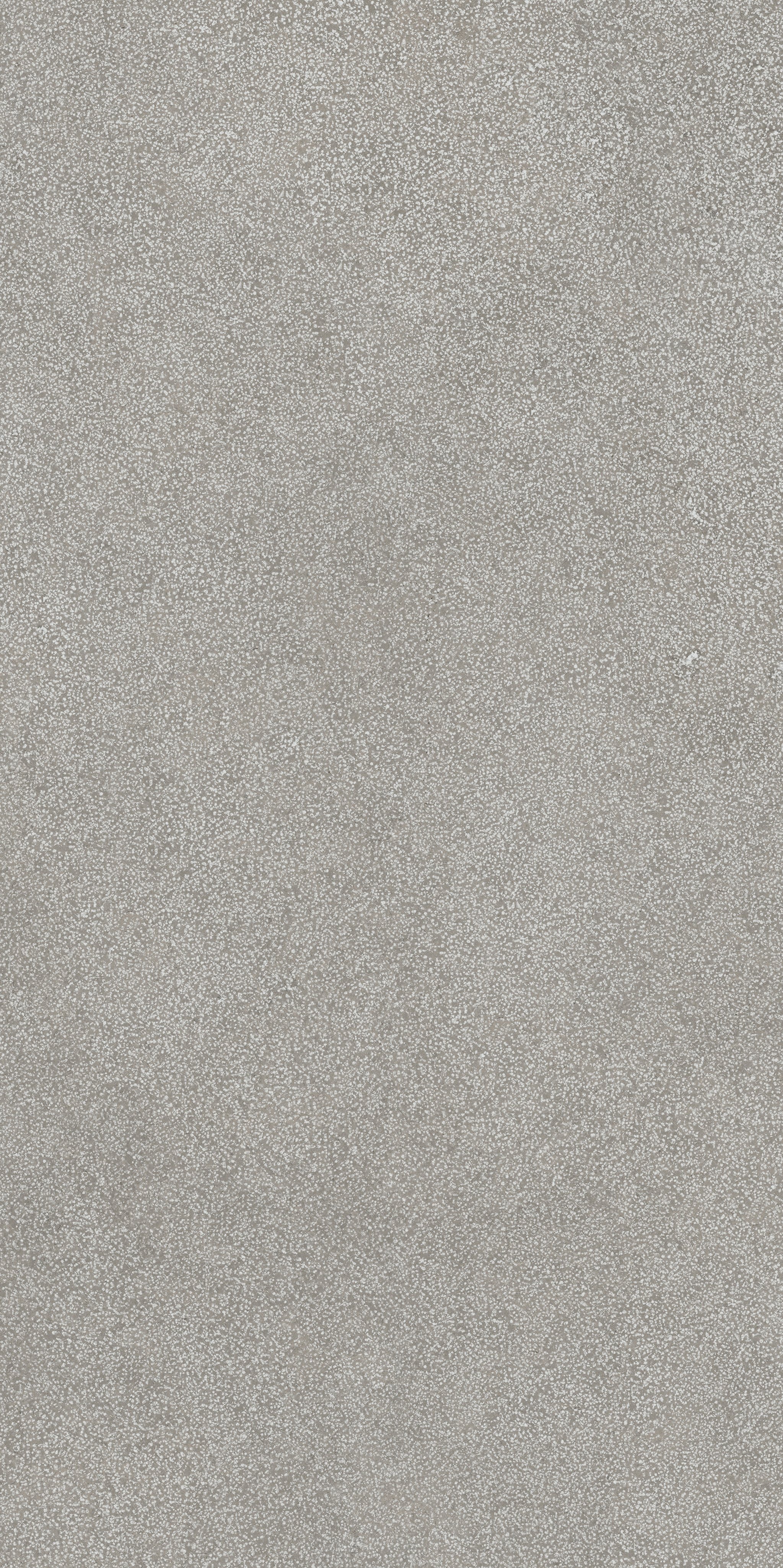 Grey Lithos 60x120