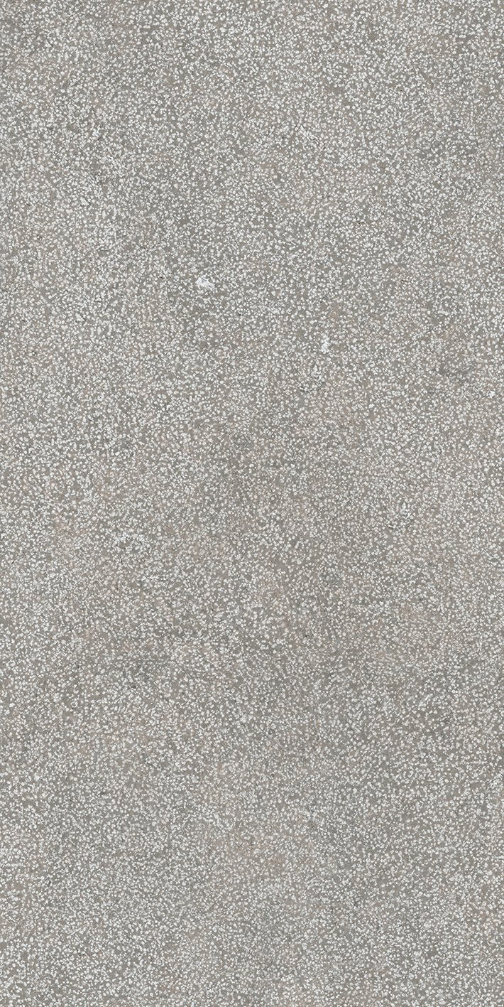 Grey Lithos 60x120