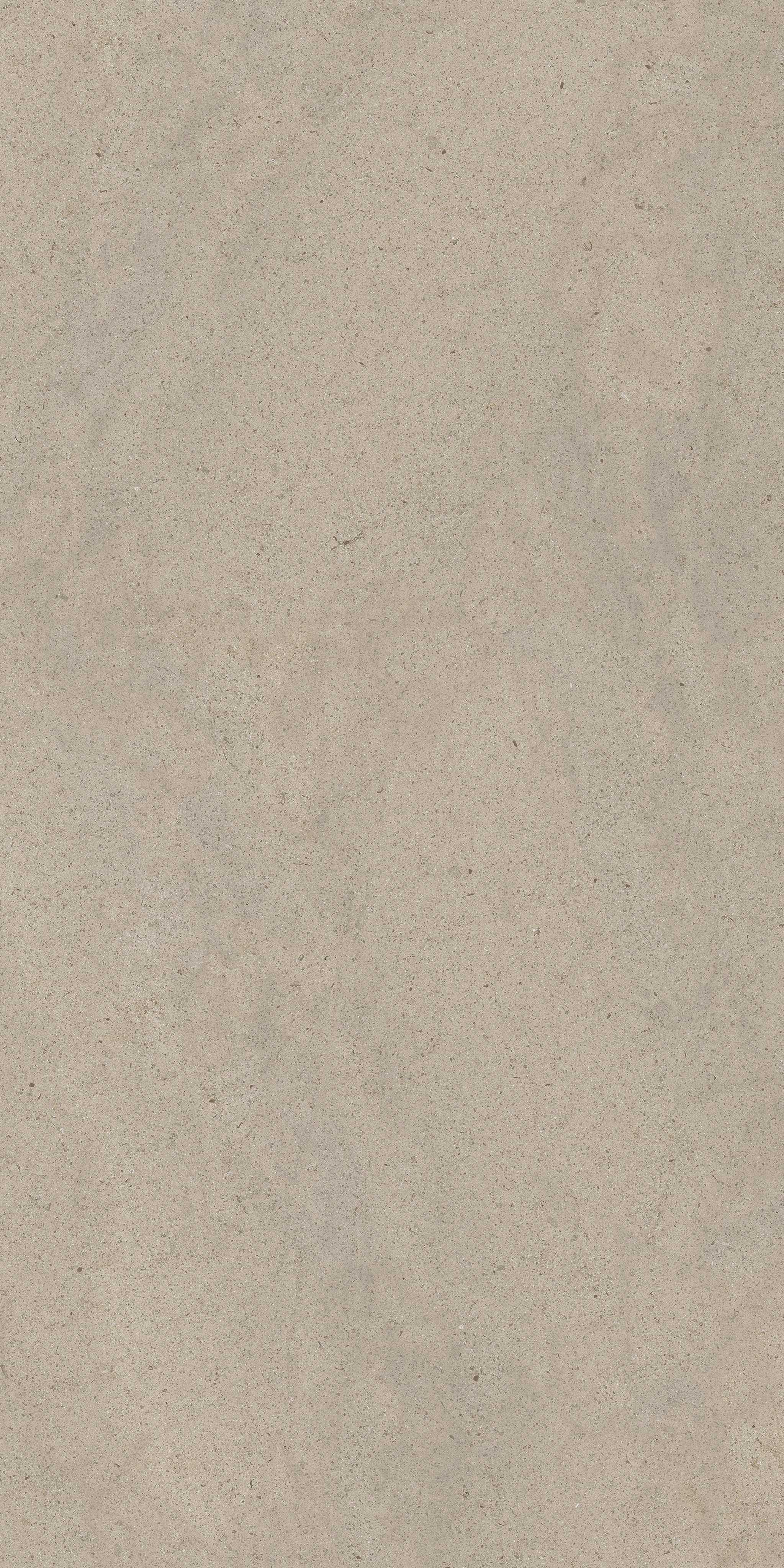 Ivory Dust 60x120