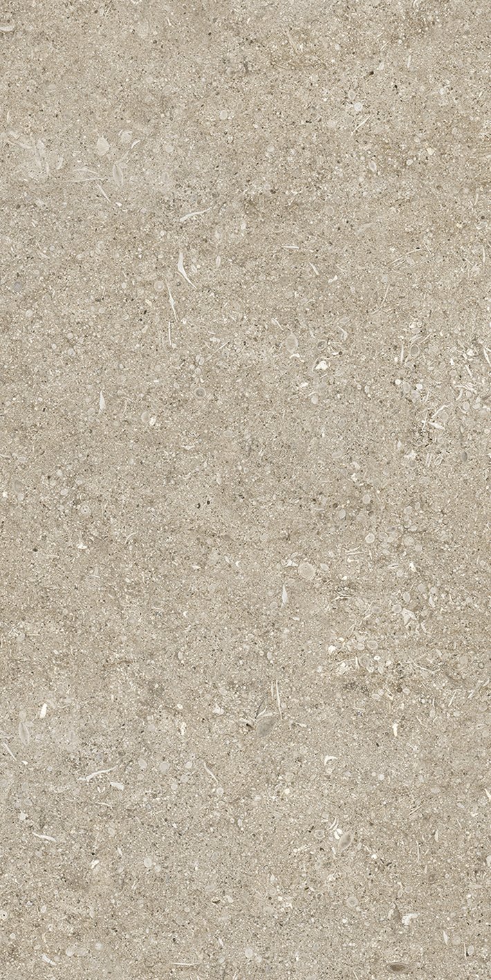 Ivory Fossil 40x80