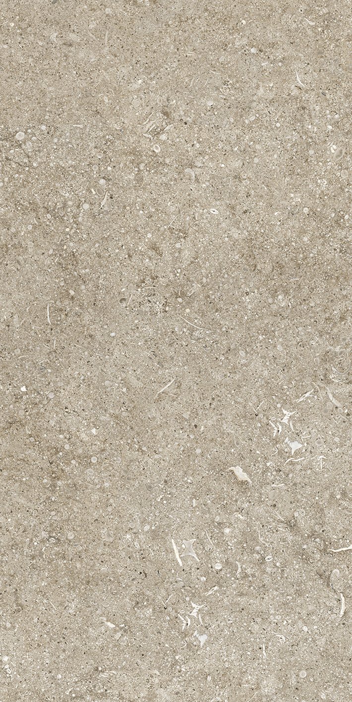 Ivory Fossil 40x80