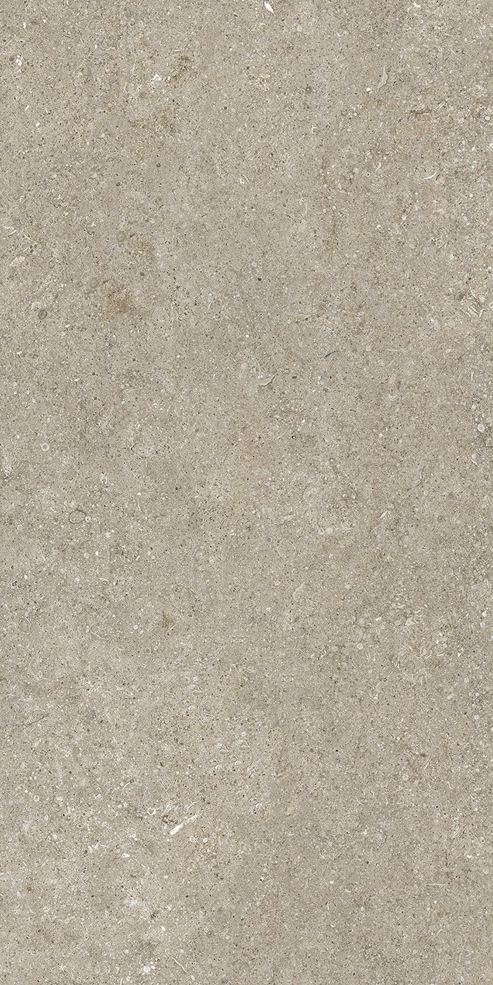 Ivory Fossil 60x120