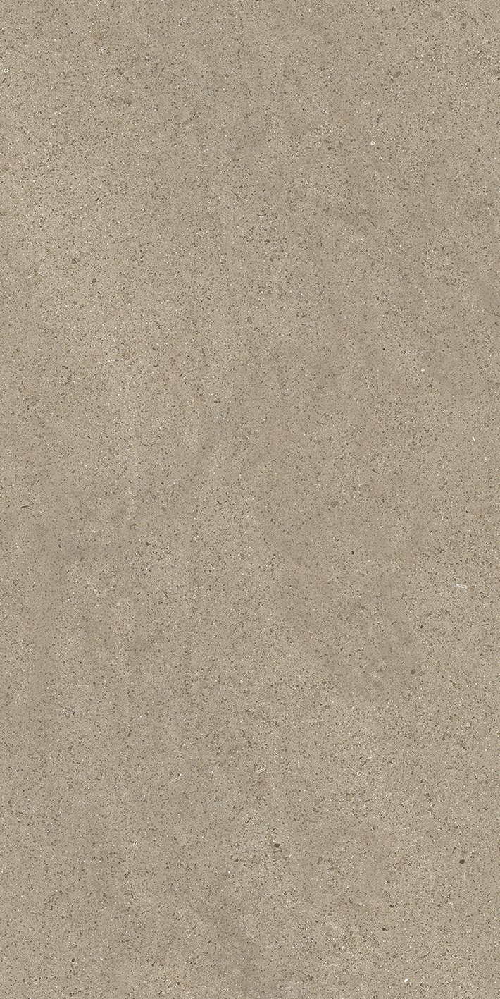Taupe Dust 60x120
