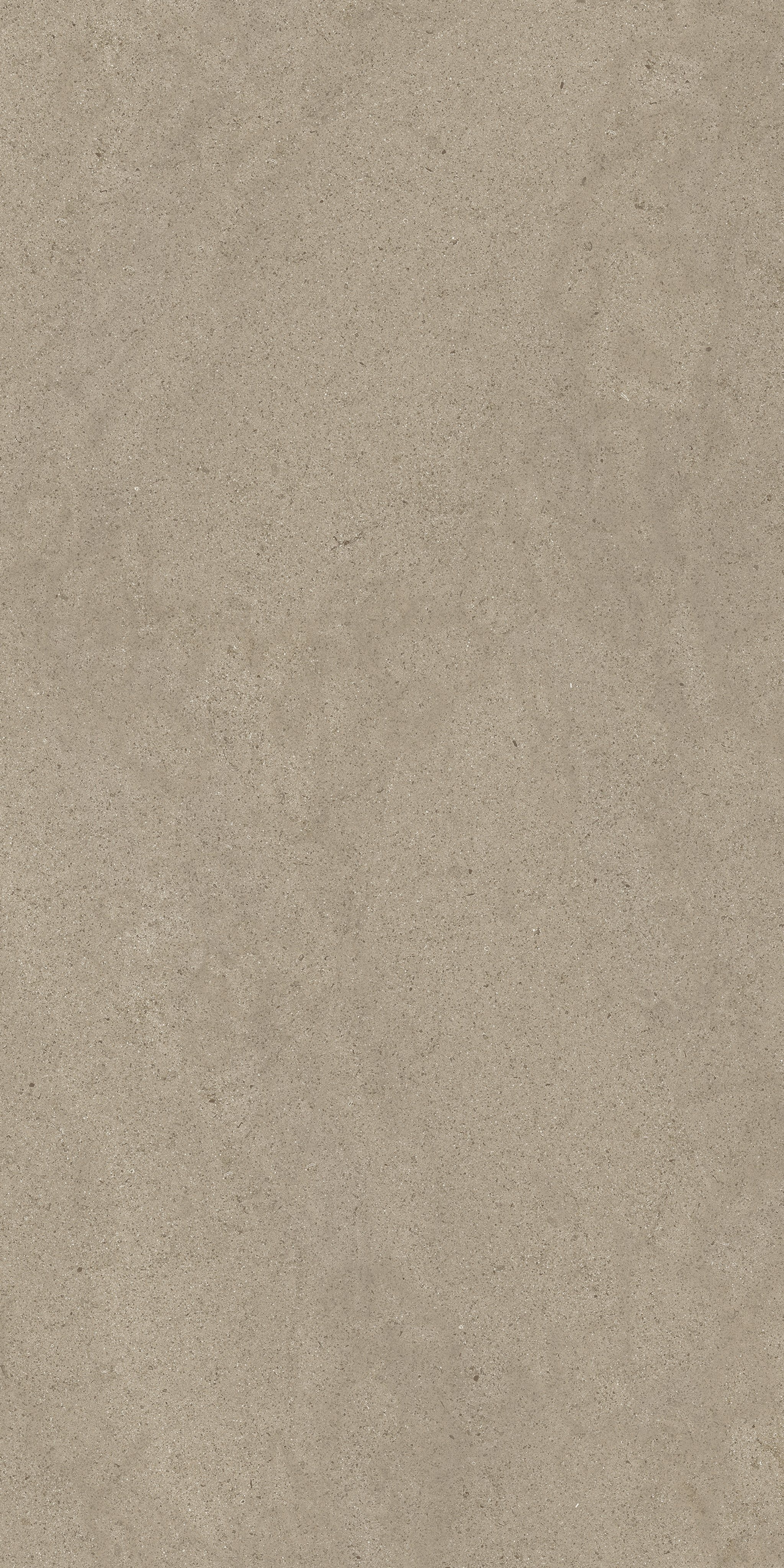 Taupe Dust 60x120