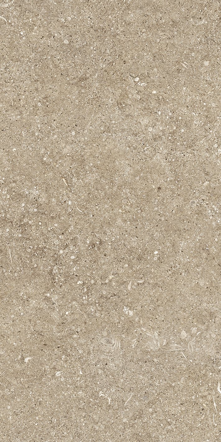 Taupe Fossil 40x80