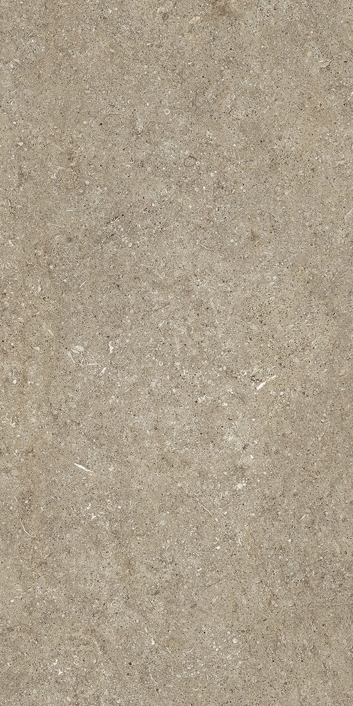 Taupe Fossil 60x120