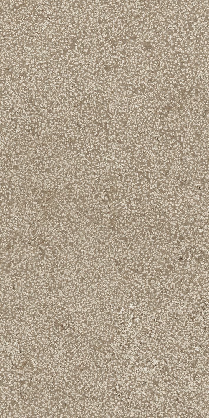 Taupe Lithos 40x80