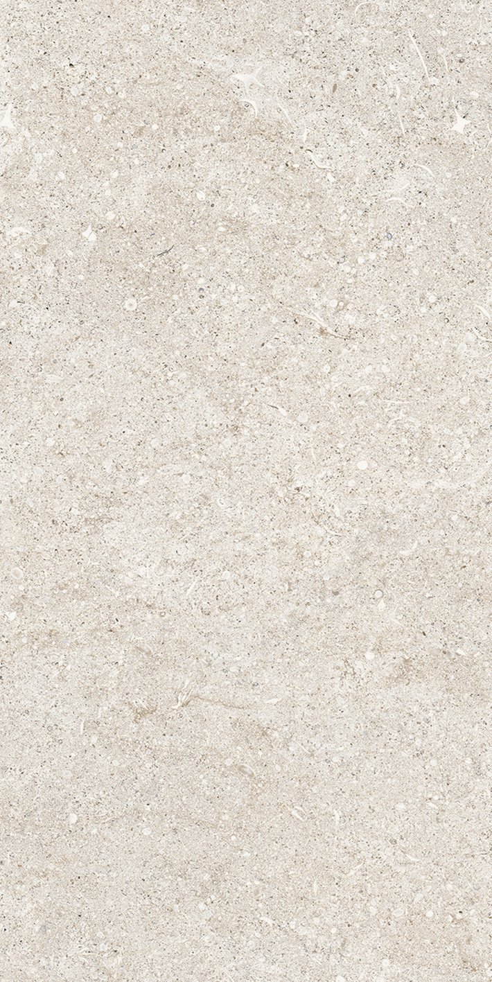 White Fossil 40x80
