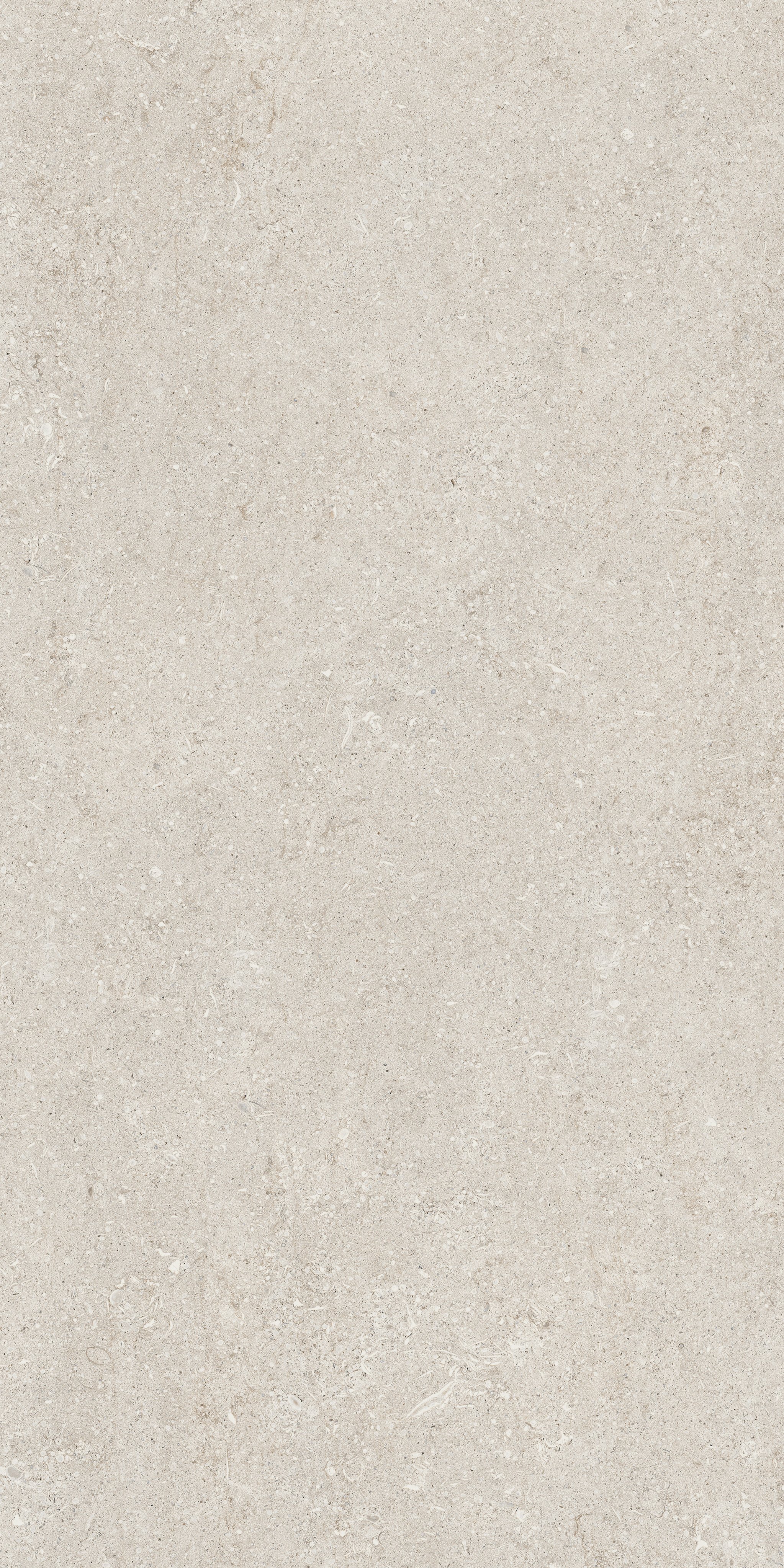 White Fossil 60x120
