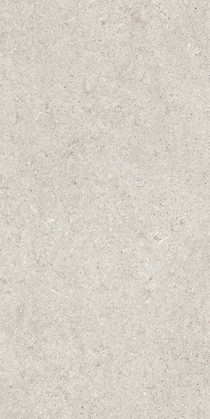 White Fossil 60x120