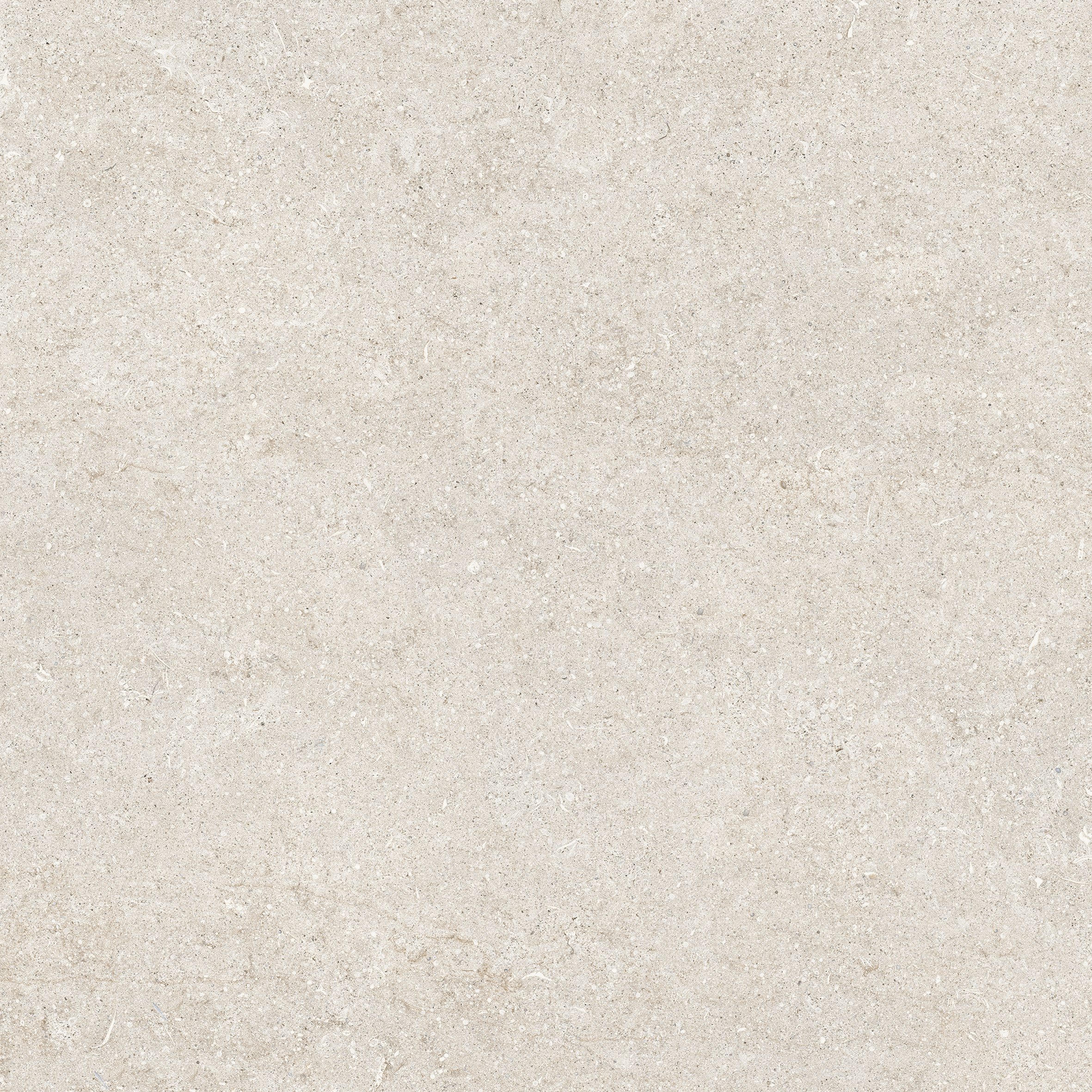 White Fossil 80x80