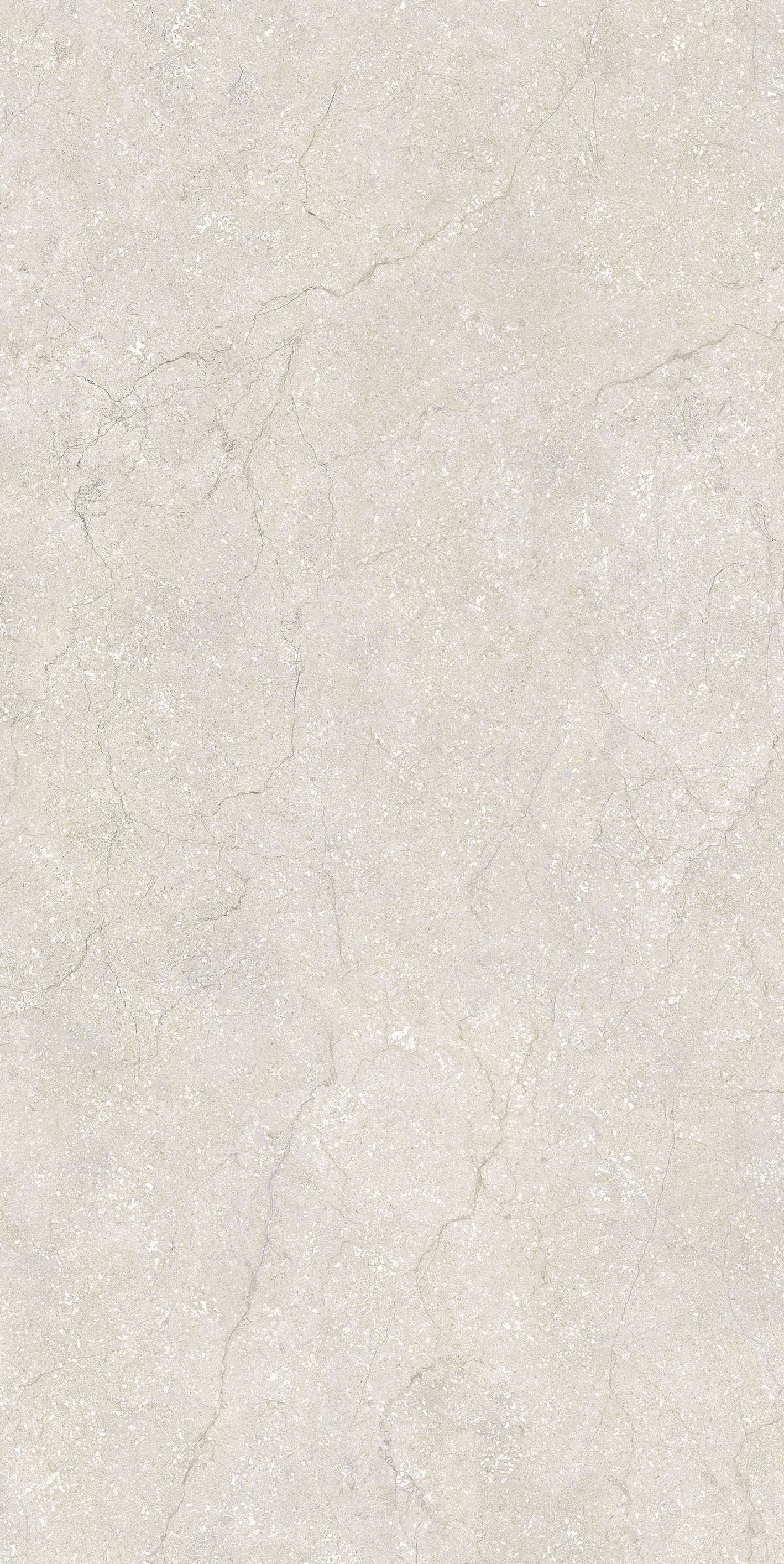 Cotton 60x120