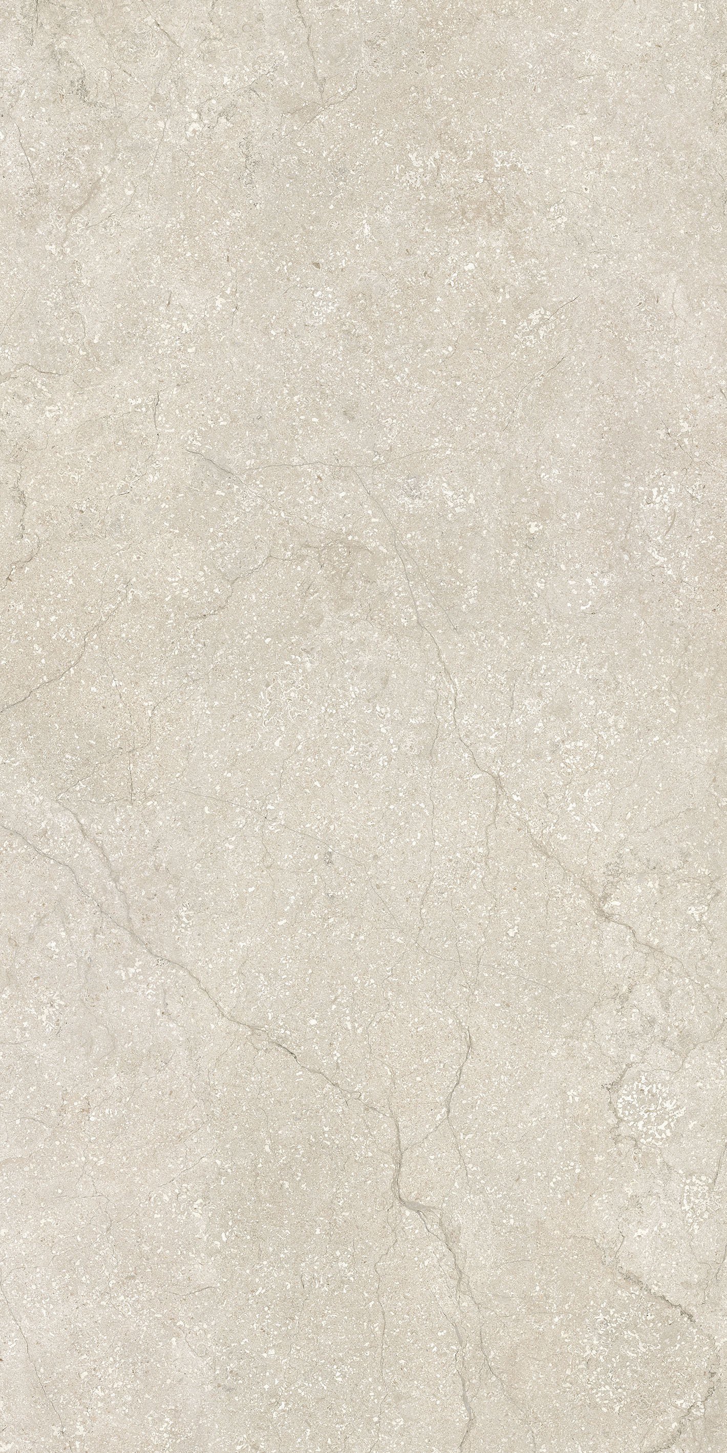 Shell 60x120