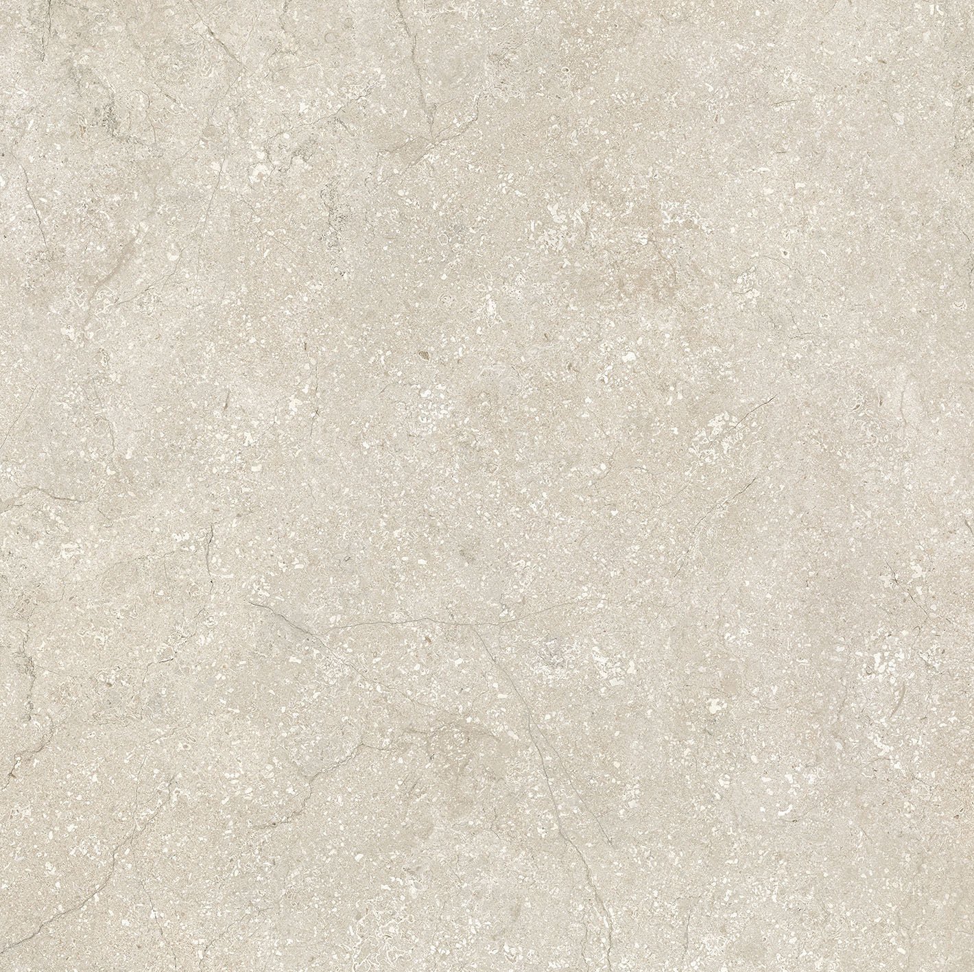 Shell 60x60