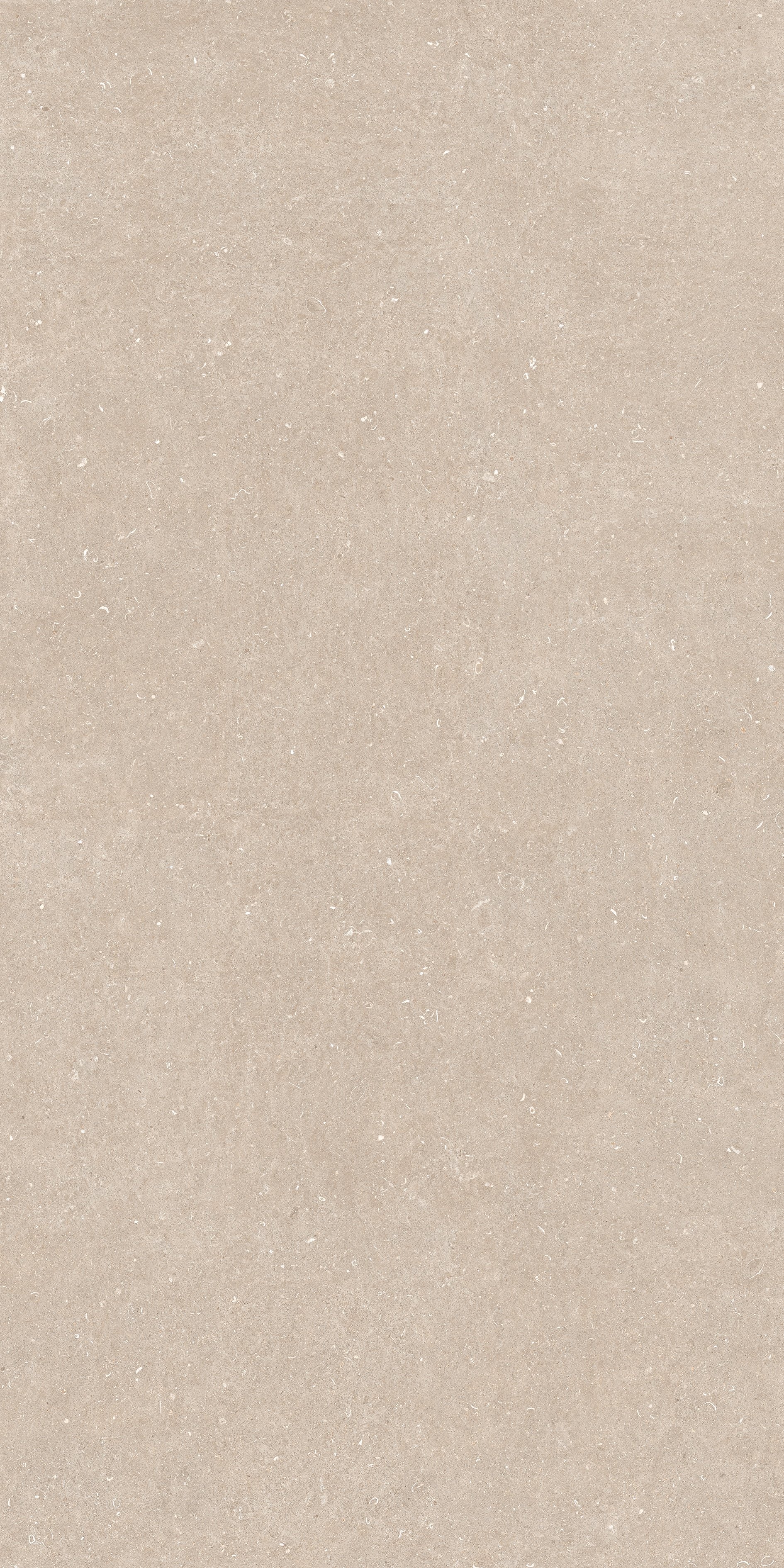 Arena Conchiglia 160x320