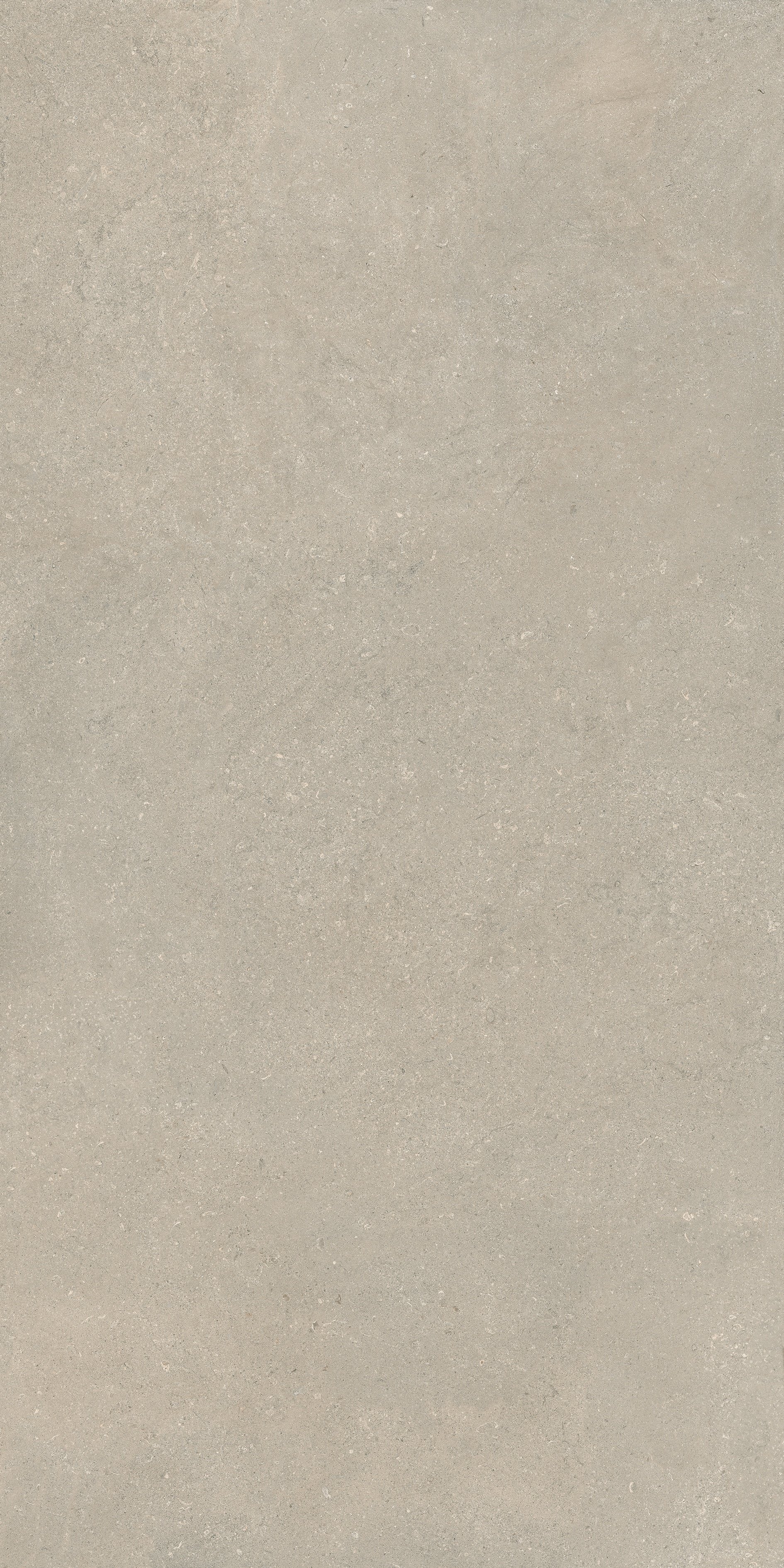 Stone Chablis 160x320