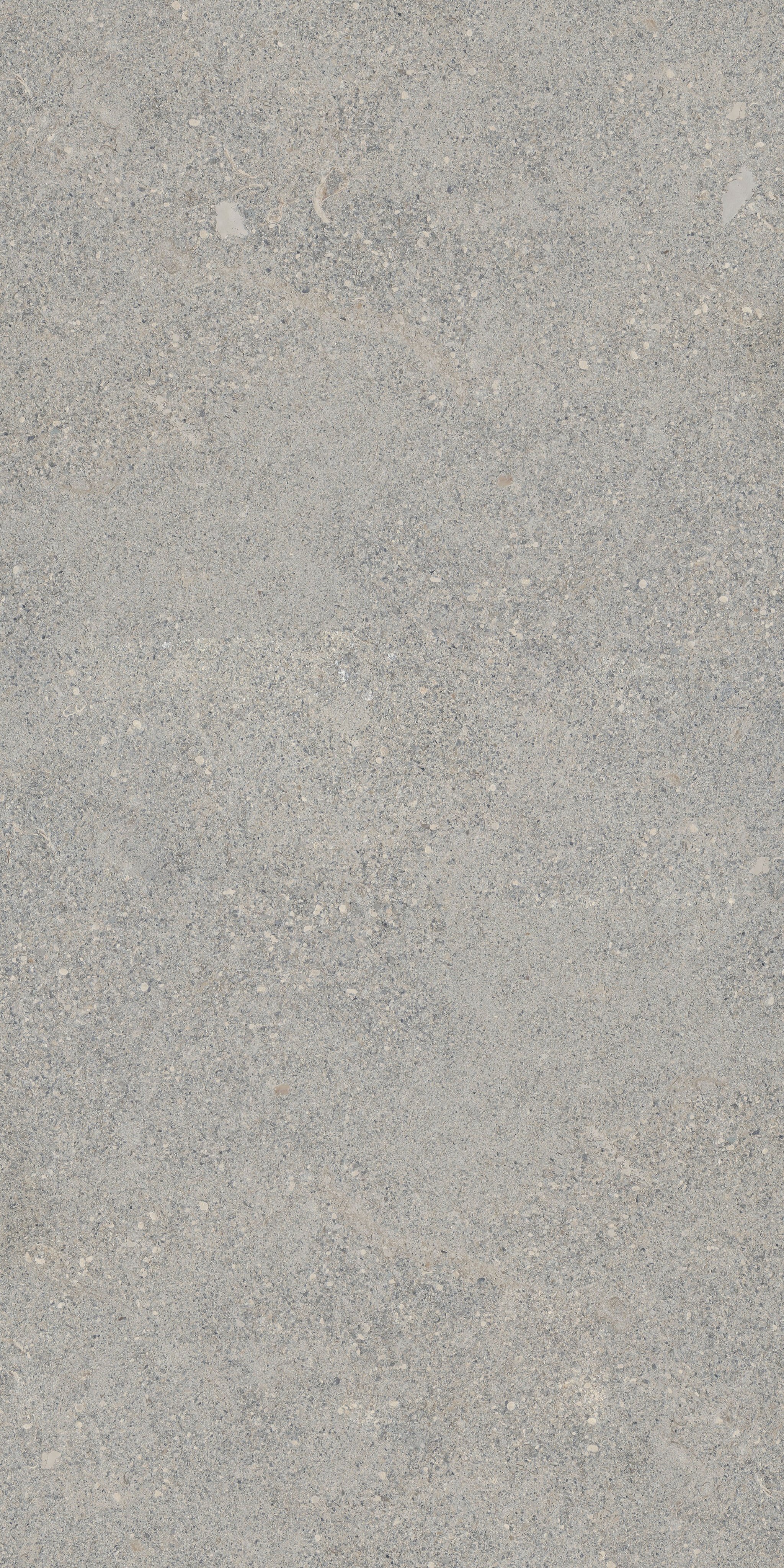 Stone Dijon 160x320