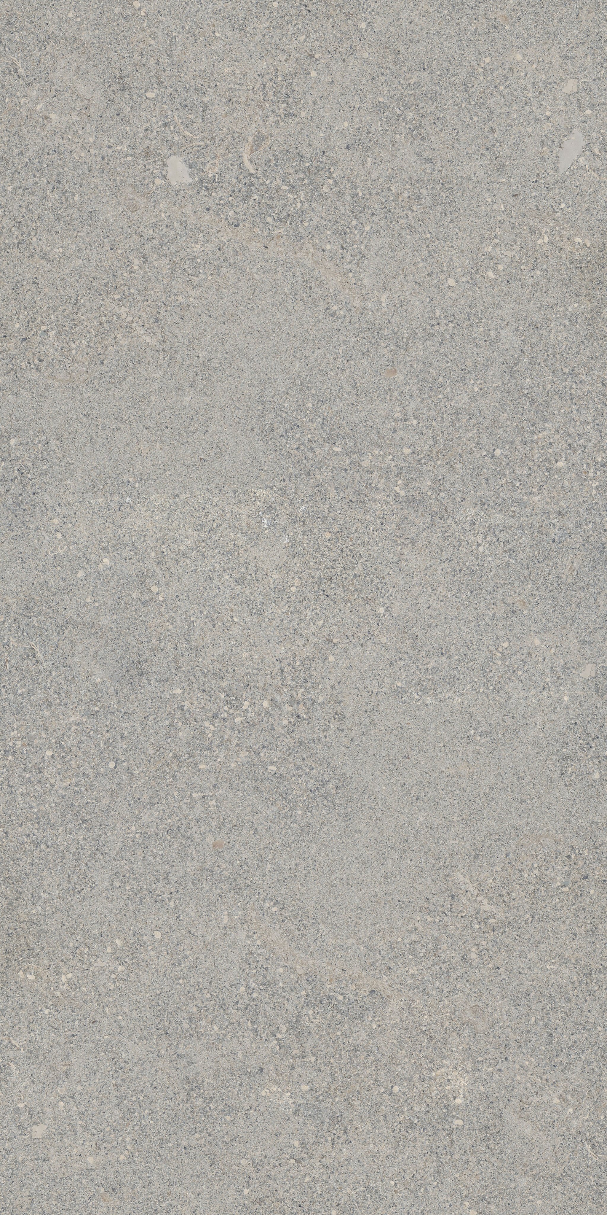 Stone Dijon 160x320