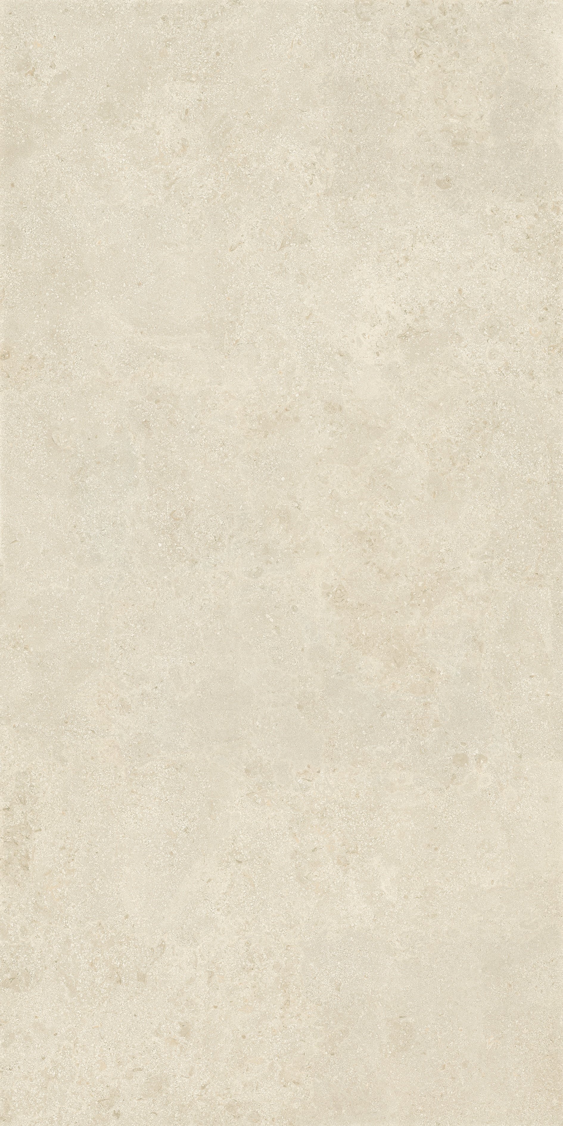 Stone Montpellier 160x320