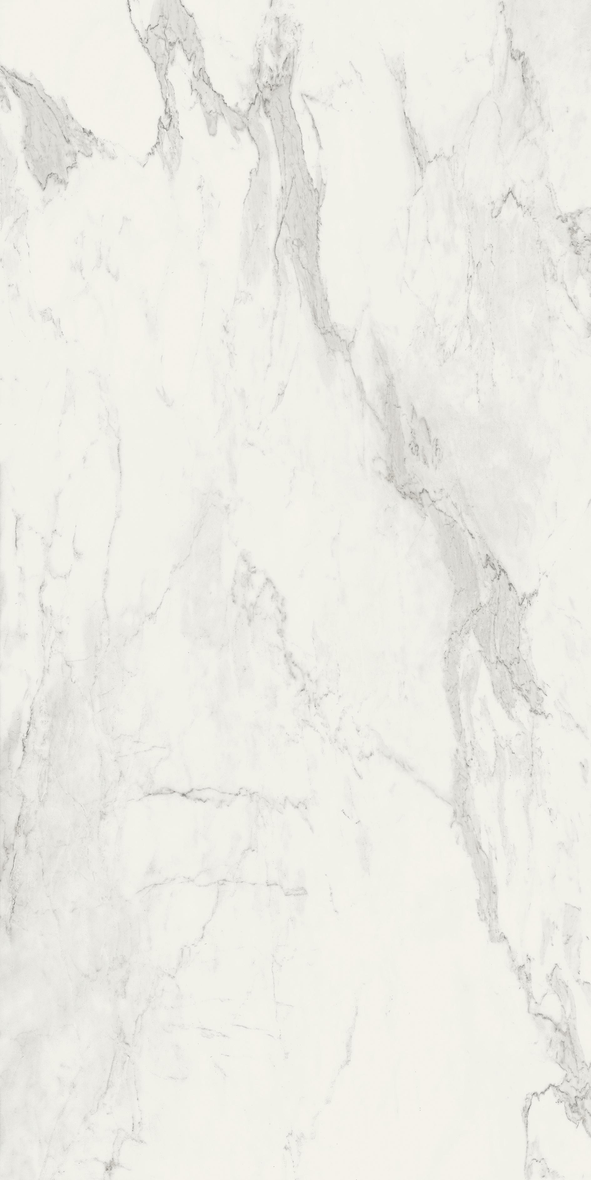 Stone Calacatta 120x240