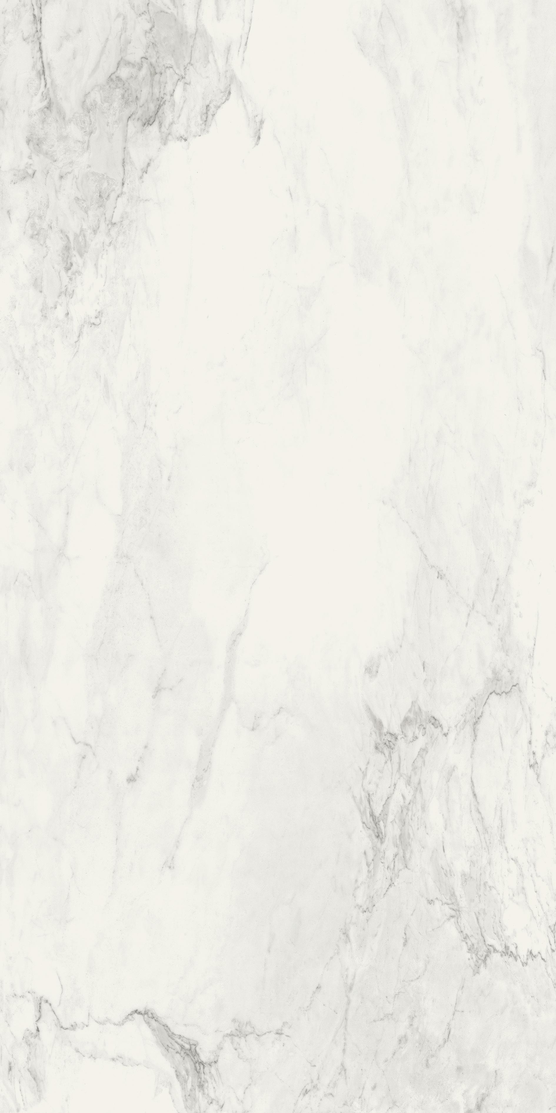 Stone Calacatta 120x240