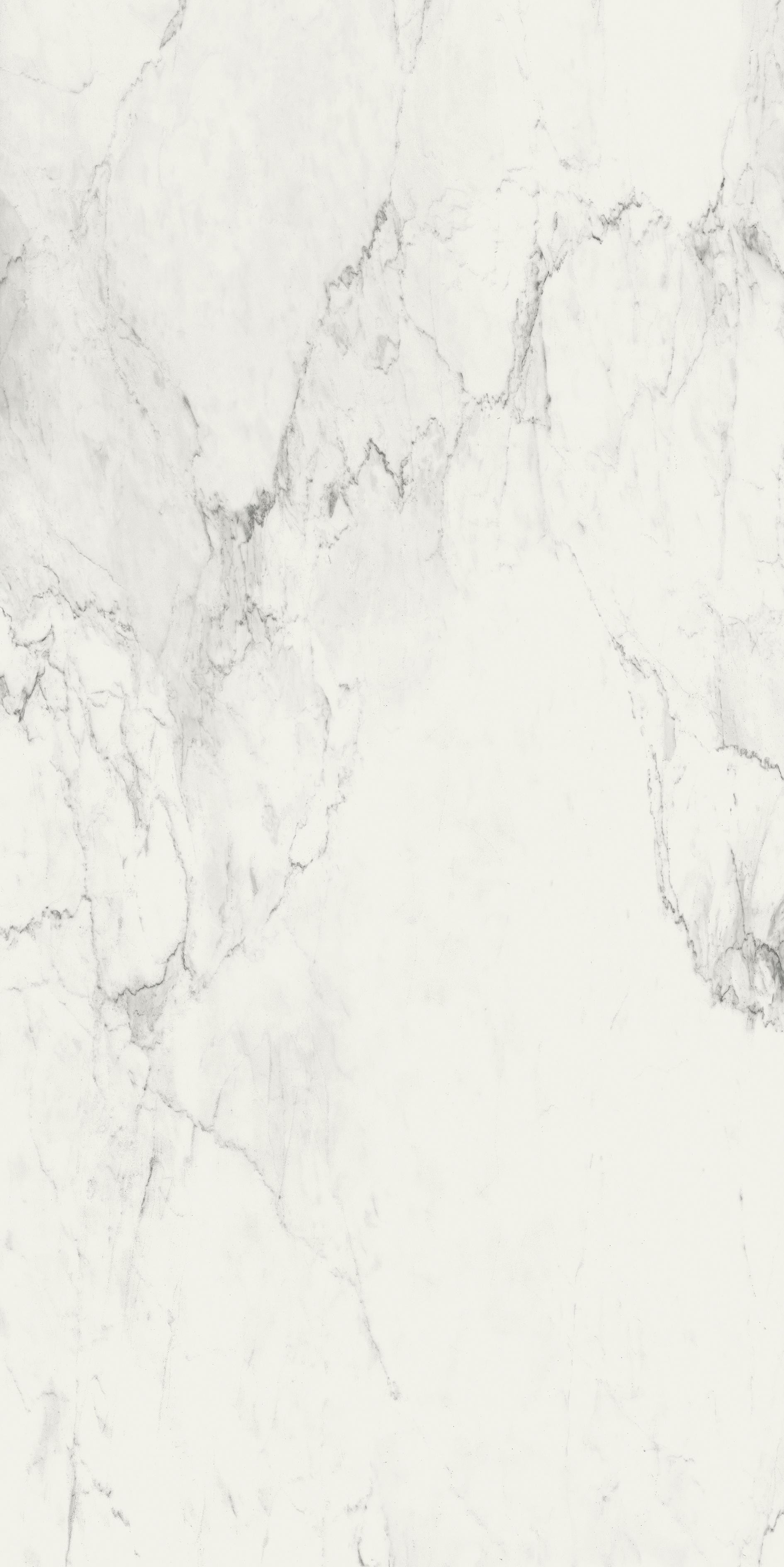 Stone Calacatta 120x240