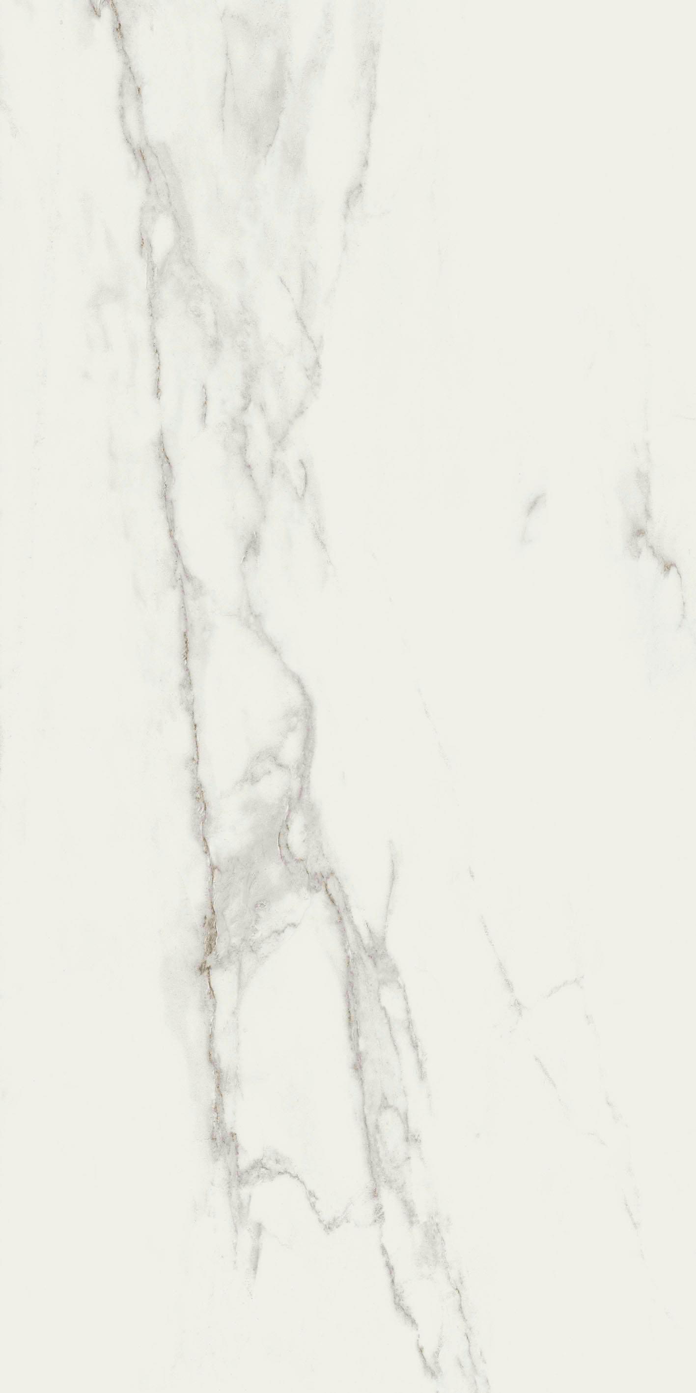 Stone Calacatta 60x120