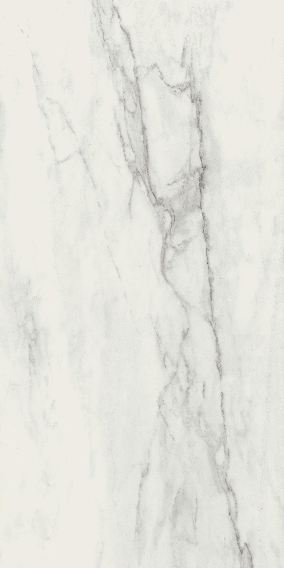 Stone Calacatta 60x120