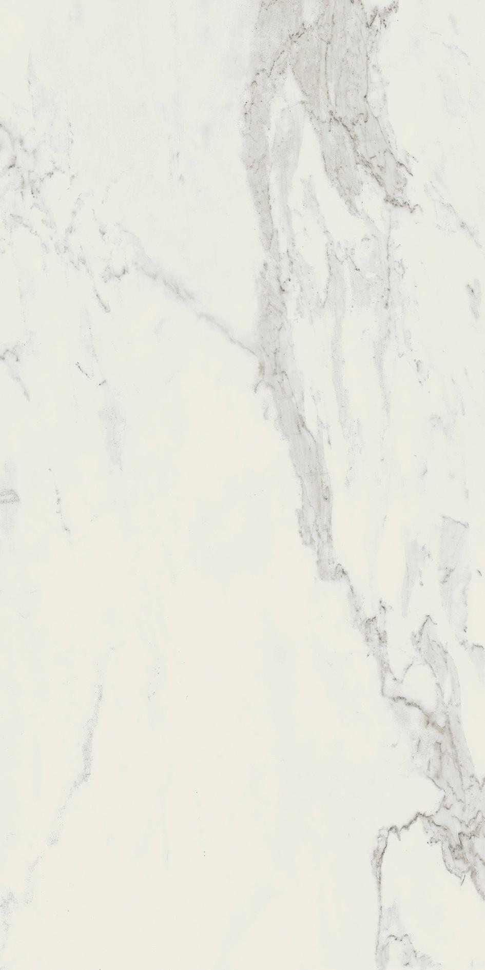 Stone Calacatta 60x120